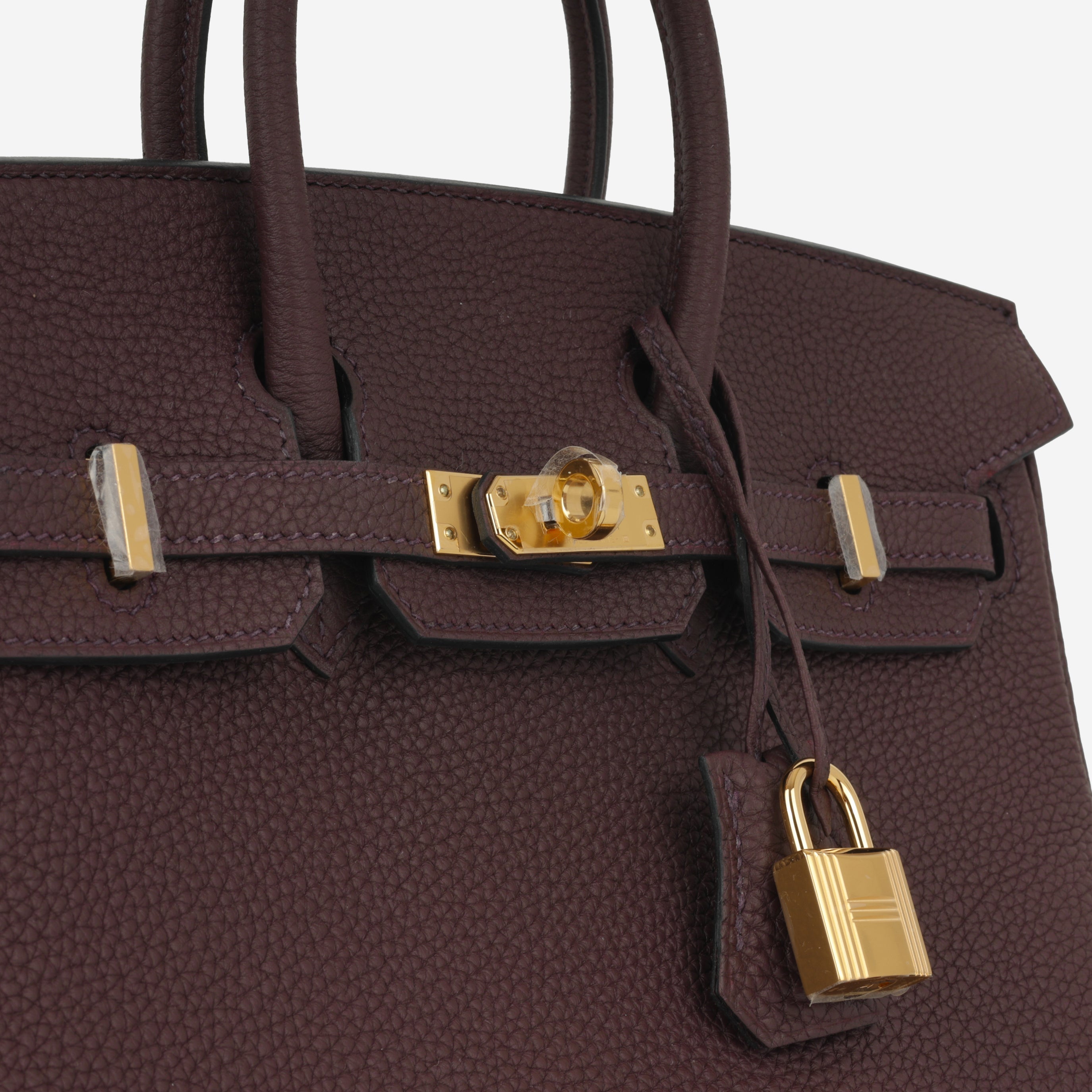 Hermès Birkin 25 - Rouge Sellier Togo | Gold Hardware
