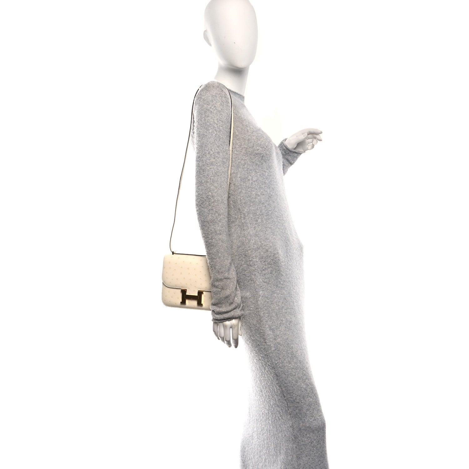 Ostrich Constance 18 Nata