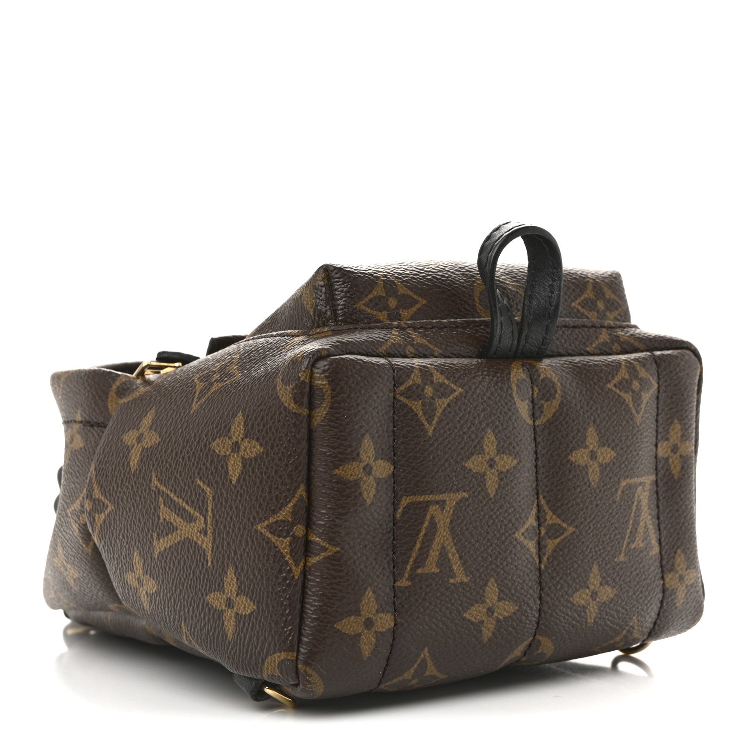 Monogram Palm Springs Backpack Mini