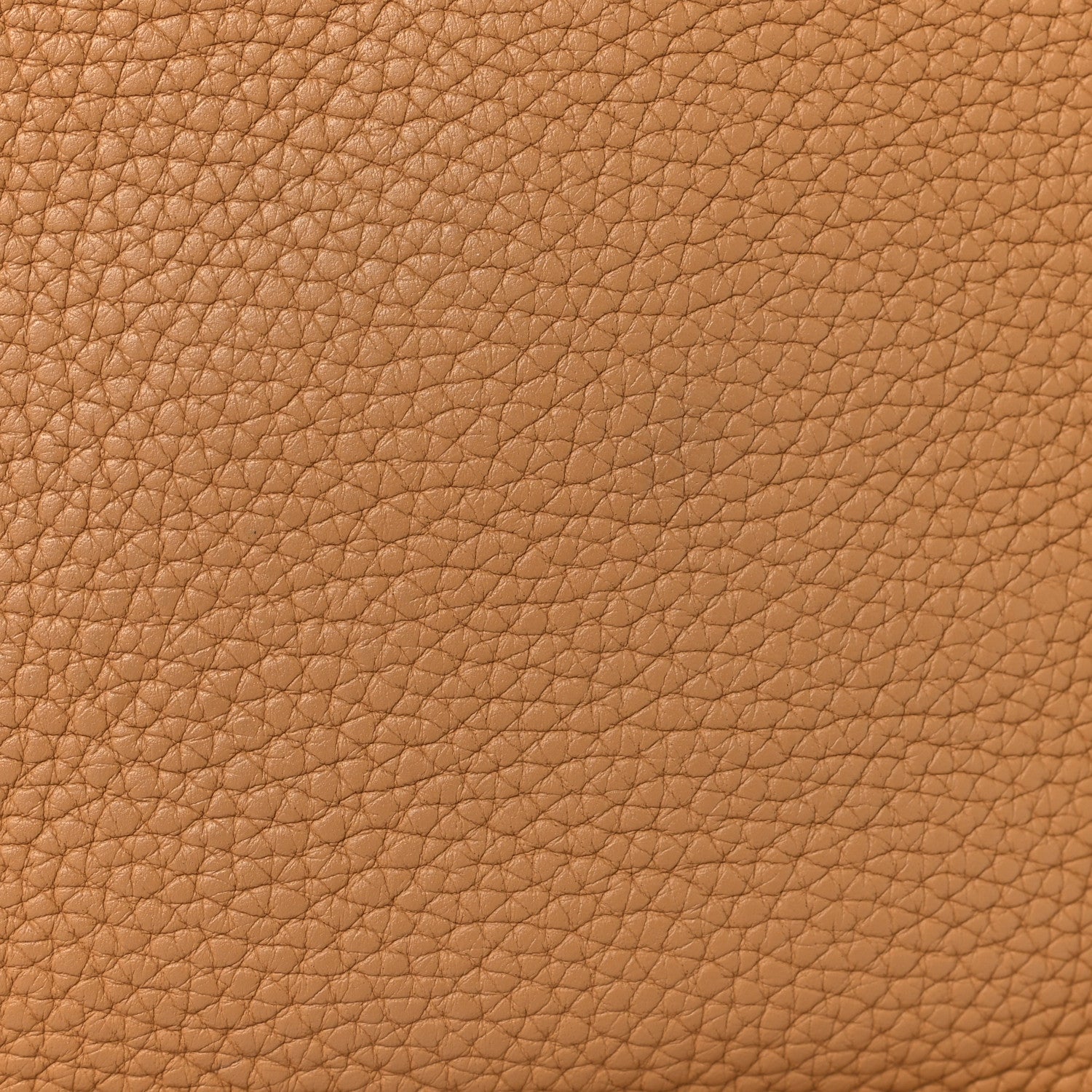 Taurillon Clemence Evelyne TPM Biscuit