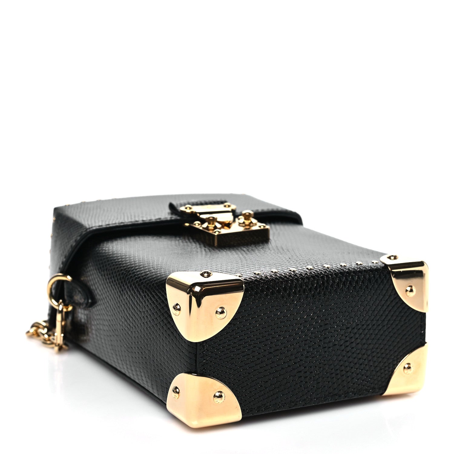 Lizard Camera Box Black