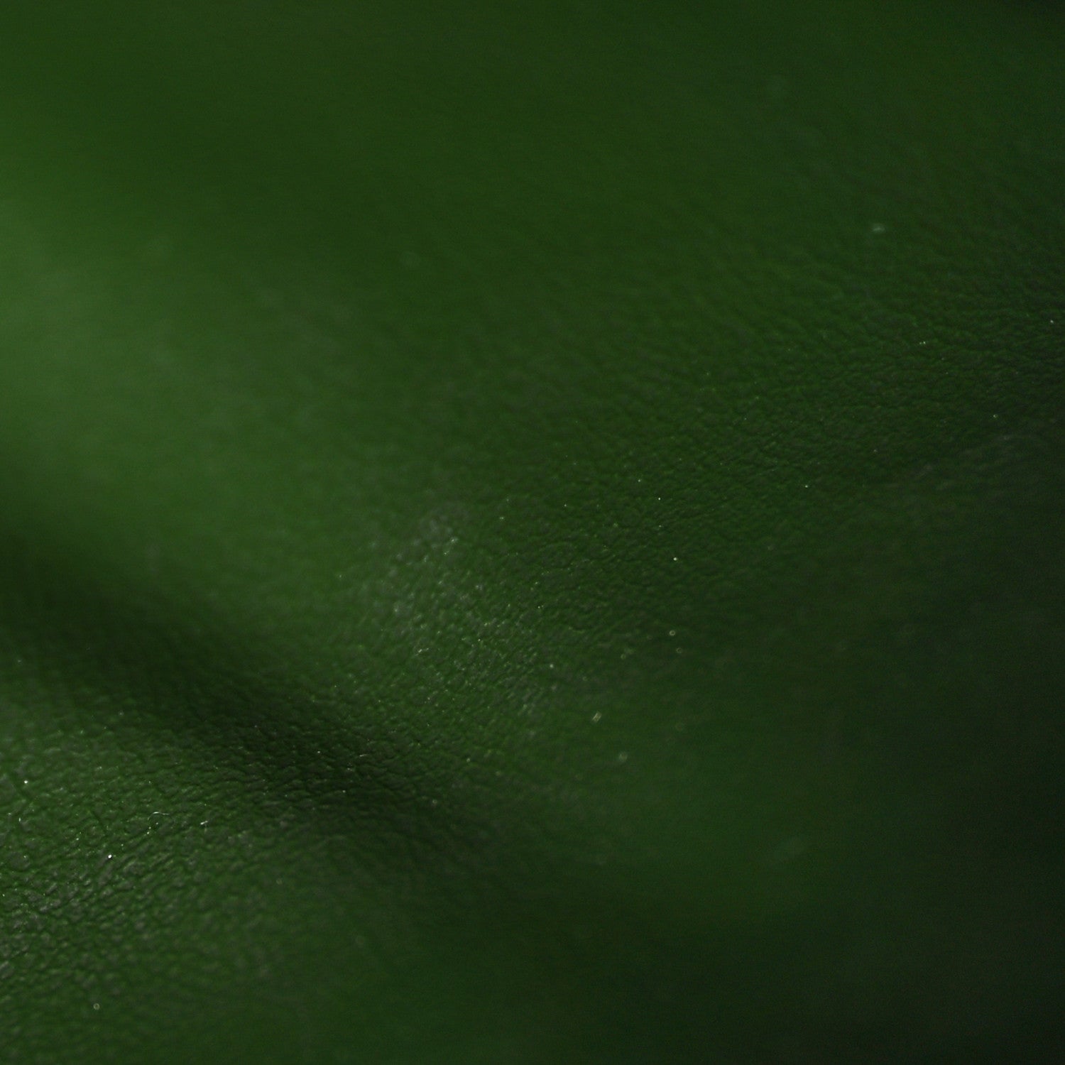 Lambskin Embossed Monogram LV Coussin Zippy Wallet Blue Green