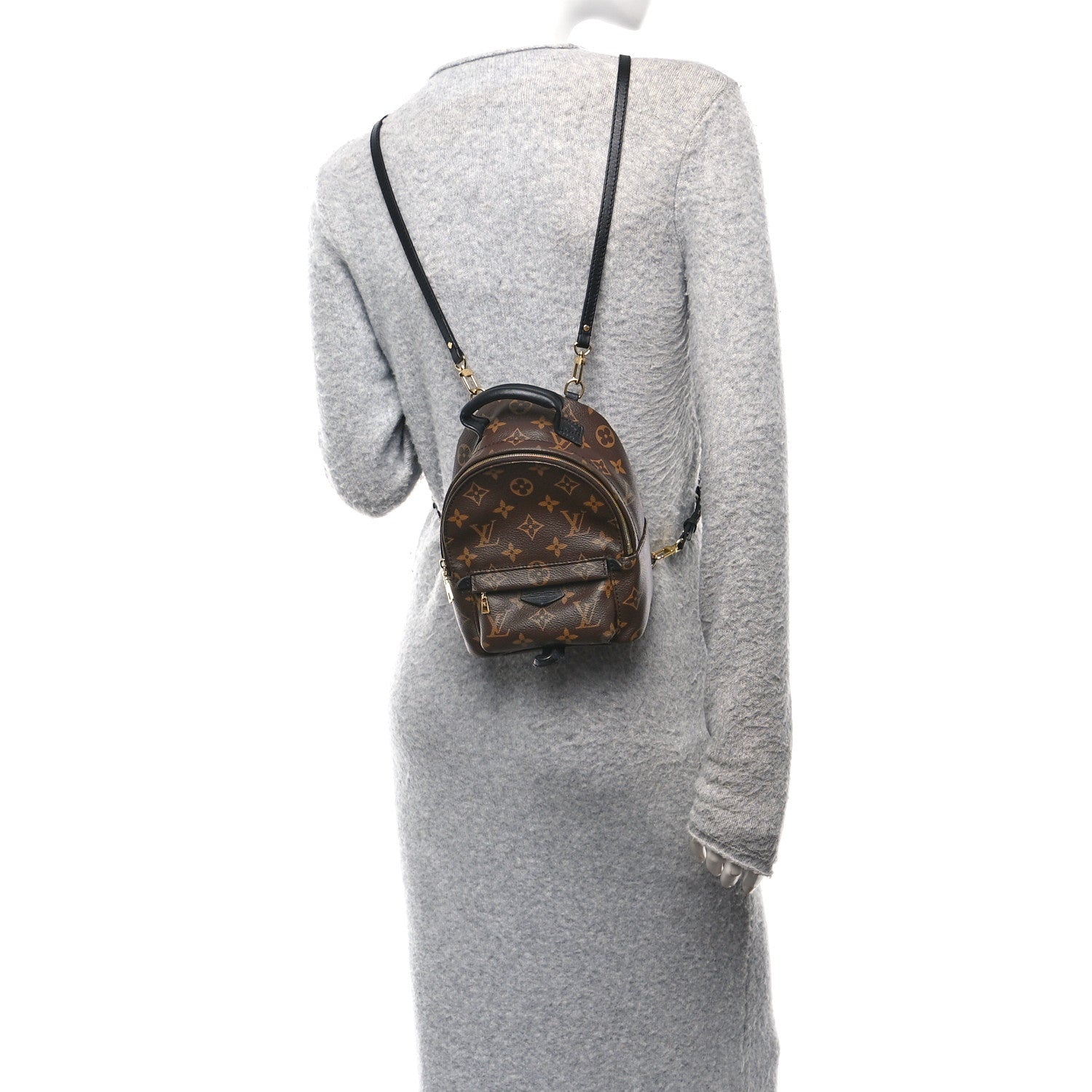 Monogram Palm Springs Backpack Mini