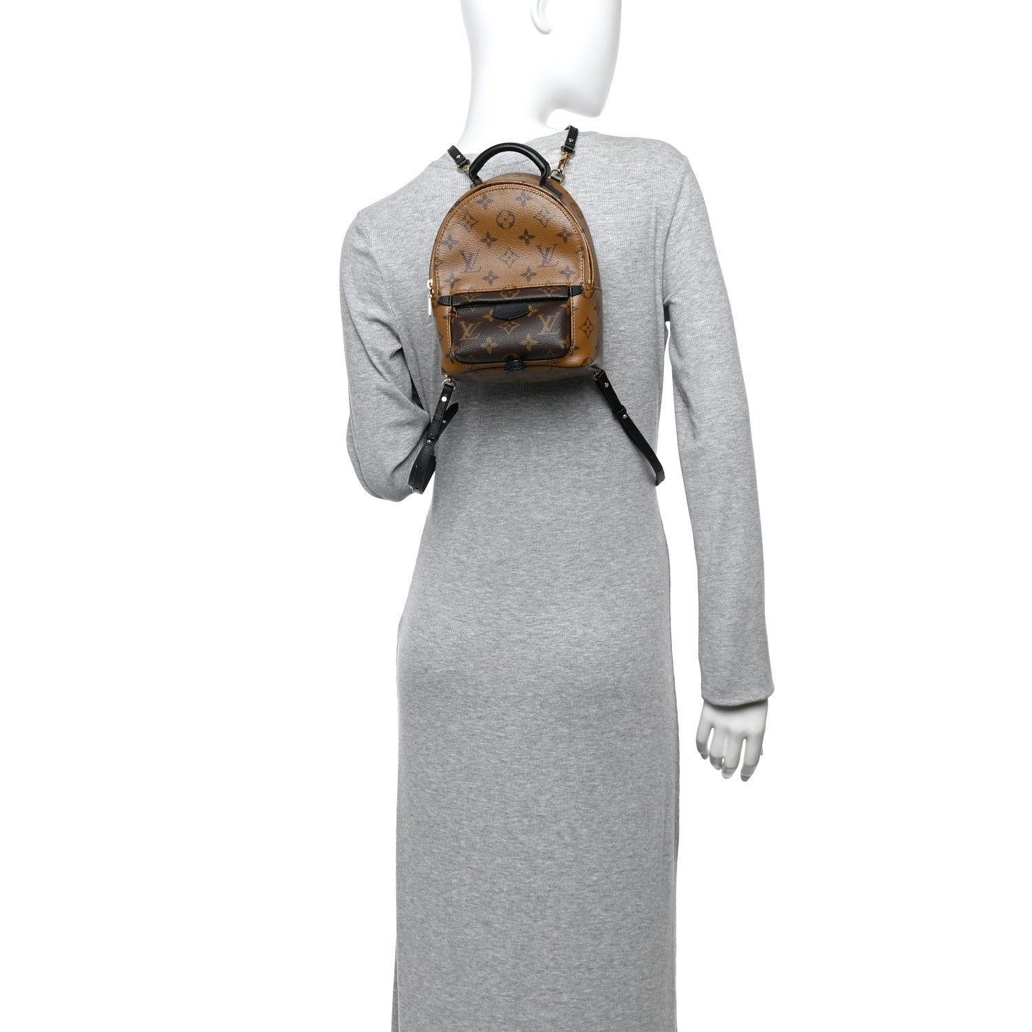 Reverse Monogram Palm Springs Backpack Mini