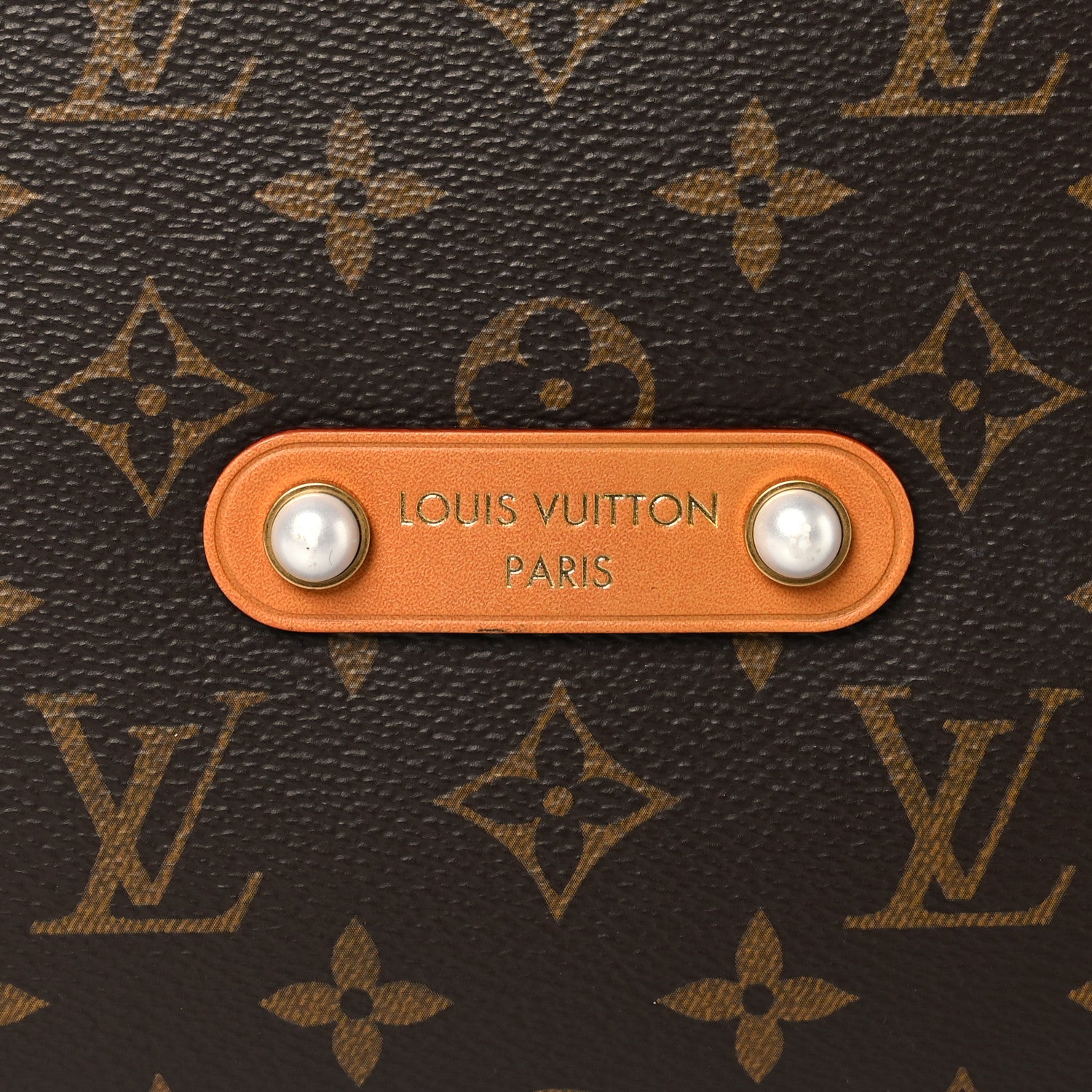 Monogram Vagabond Hobo