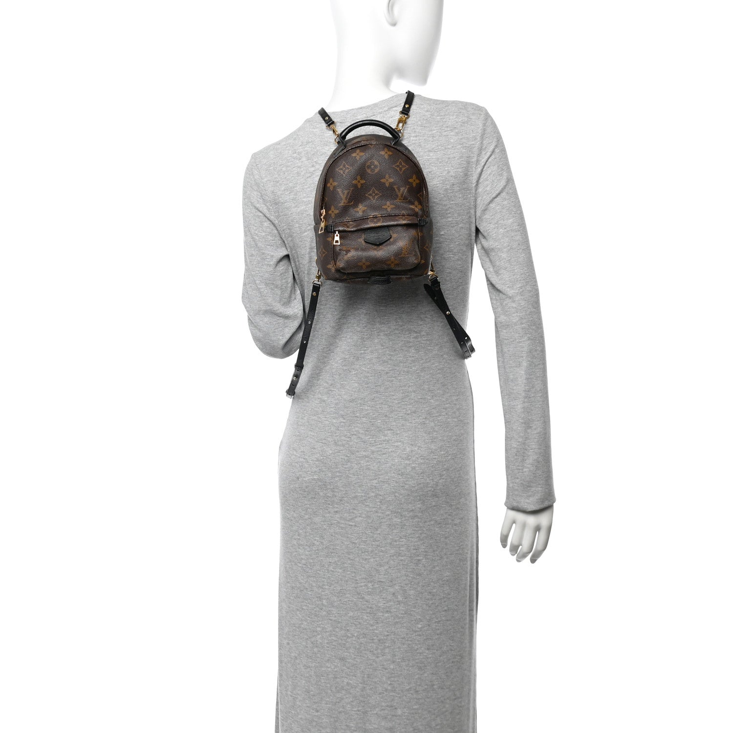Monogram Palm Springs Backpack Mini