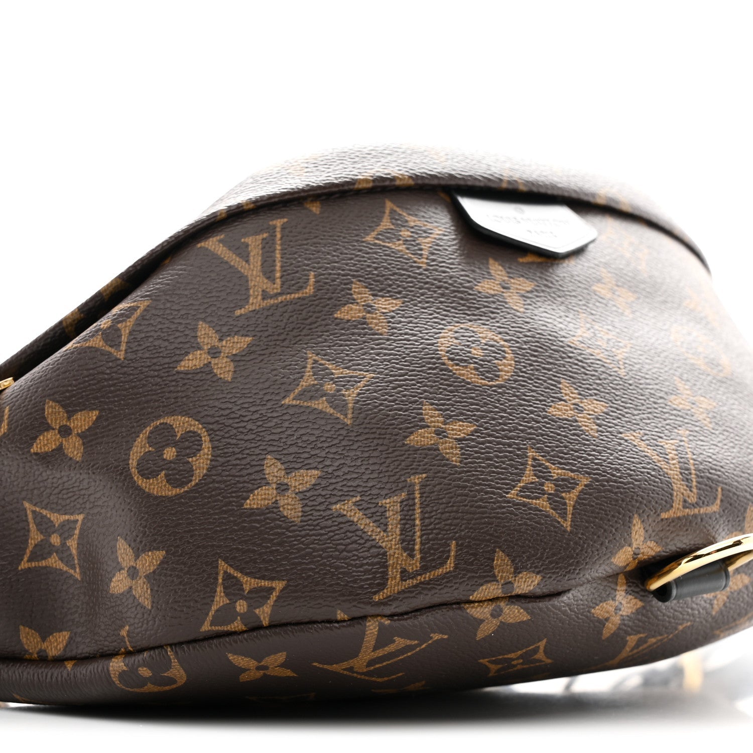 Monogram My LV World Tour Bumbag