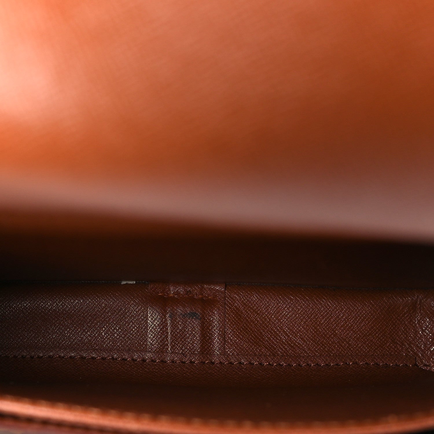 Monogram Cartouchiere 22