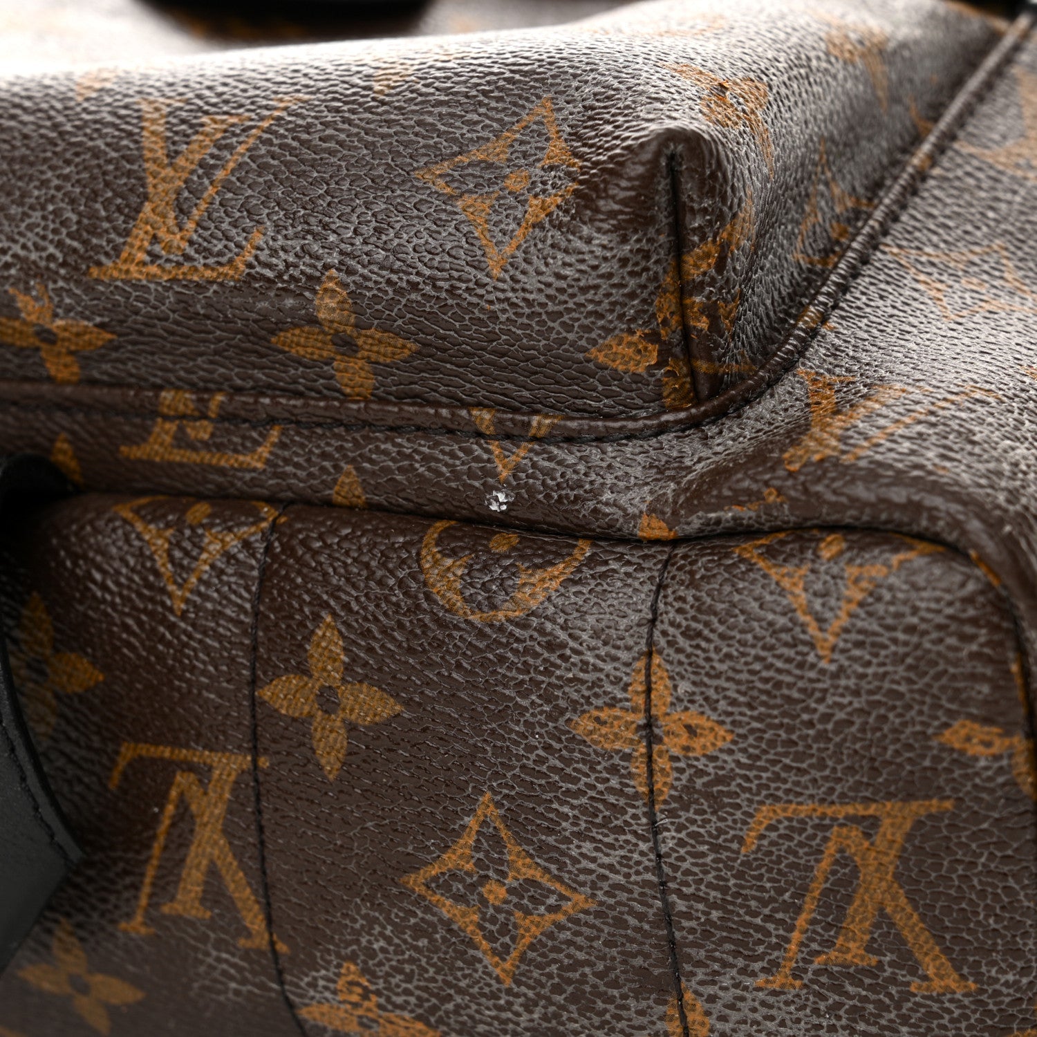 Monogram Palm Springs Backpack MM