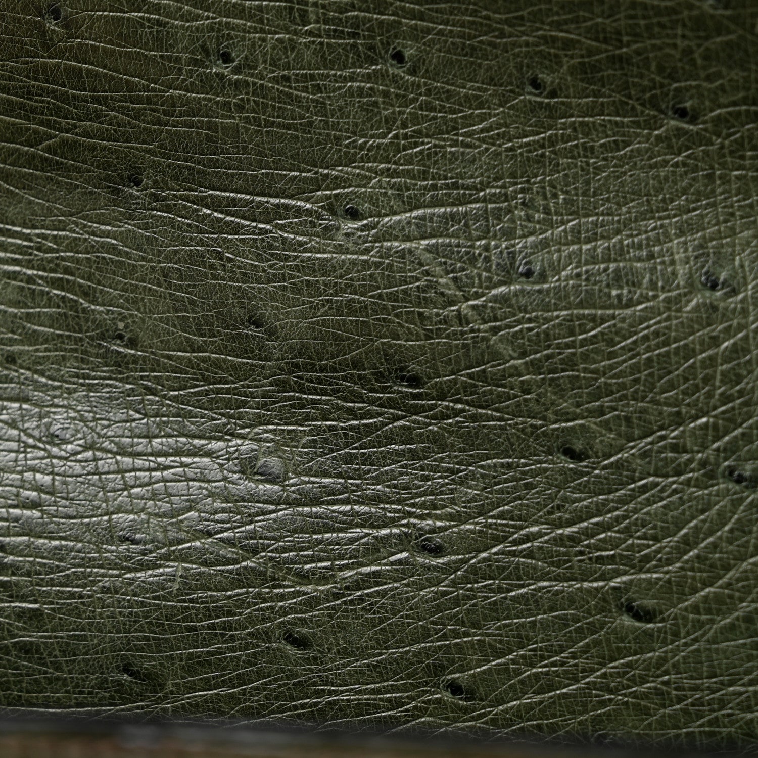 Ostrich Kelly Sellier 32 Vert Olive