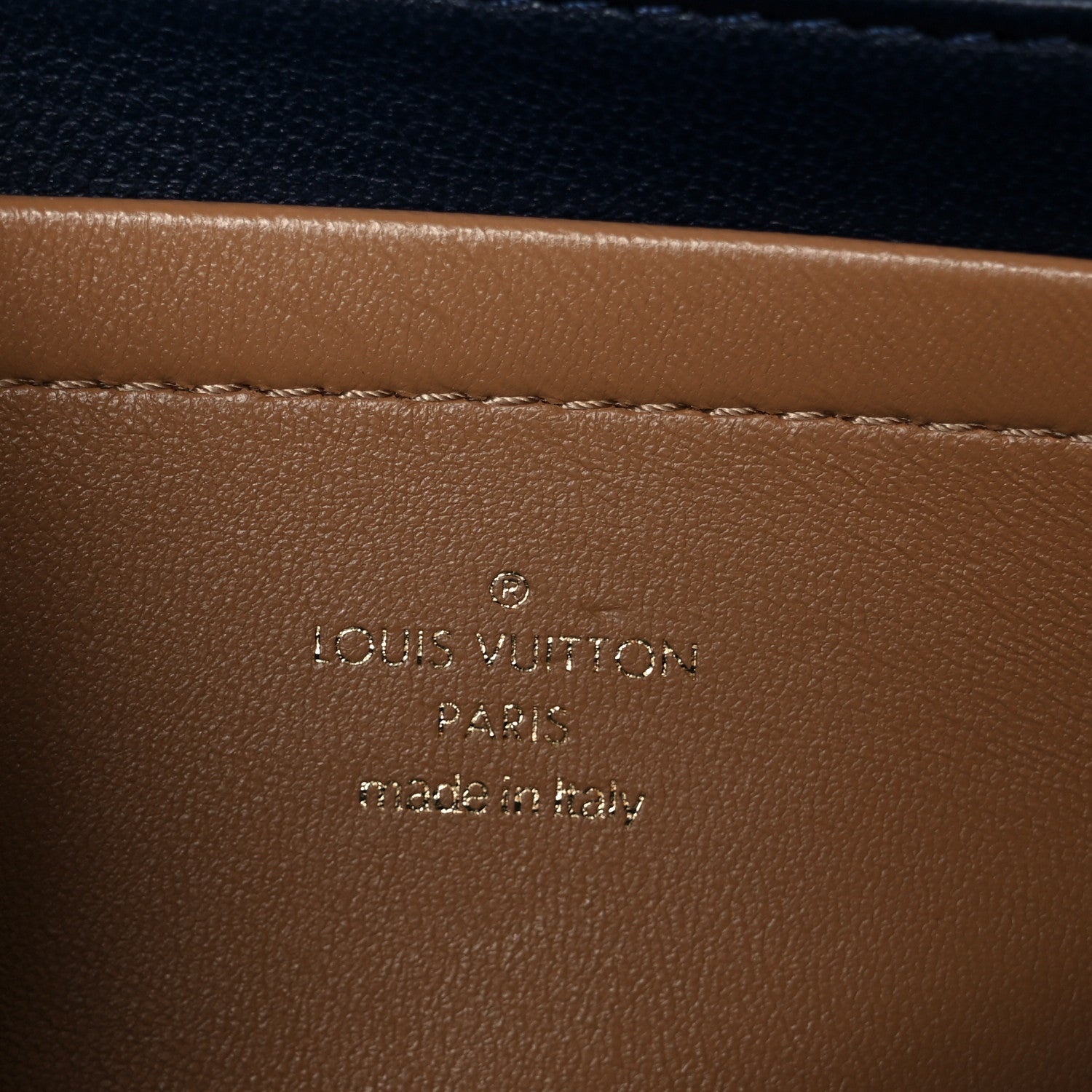 Lambskin Embossed Monogram Pochette Coussin Camel