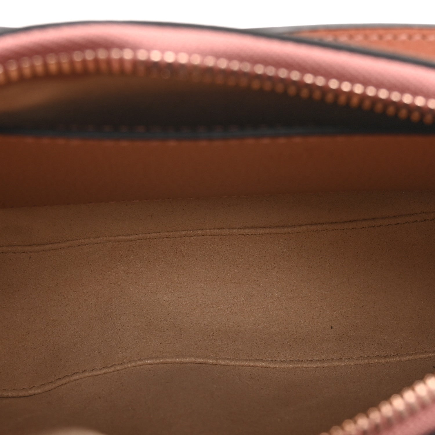 Monogram Textured Dollar Calfskin Small Ophidia Hobo Cloche Rose Pink