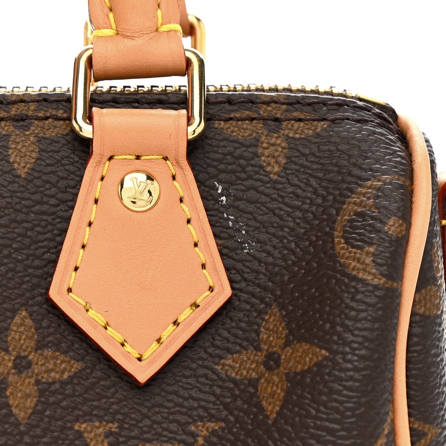 Monogram Nano Speedy Bandouliere