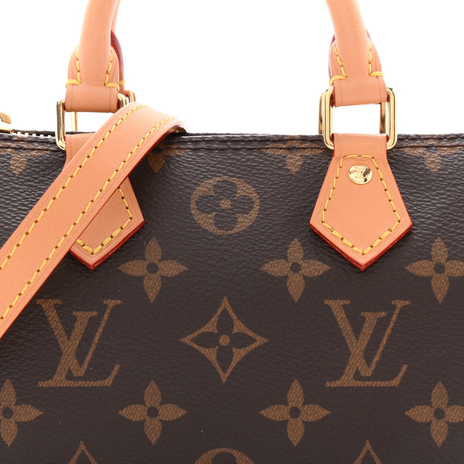 Monogram Nano Speedy Bandouliere