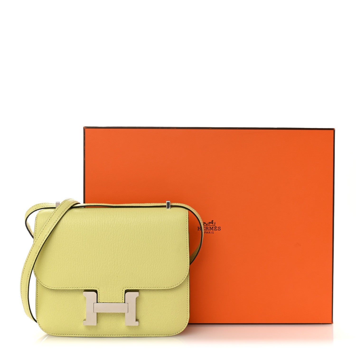 Chevre Mysore Constance 18 Jaune Bourgeon