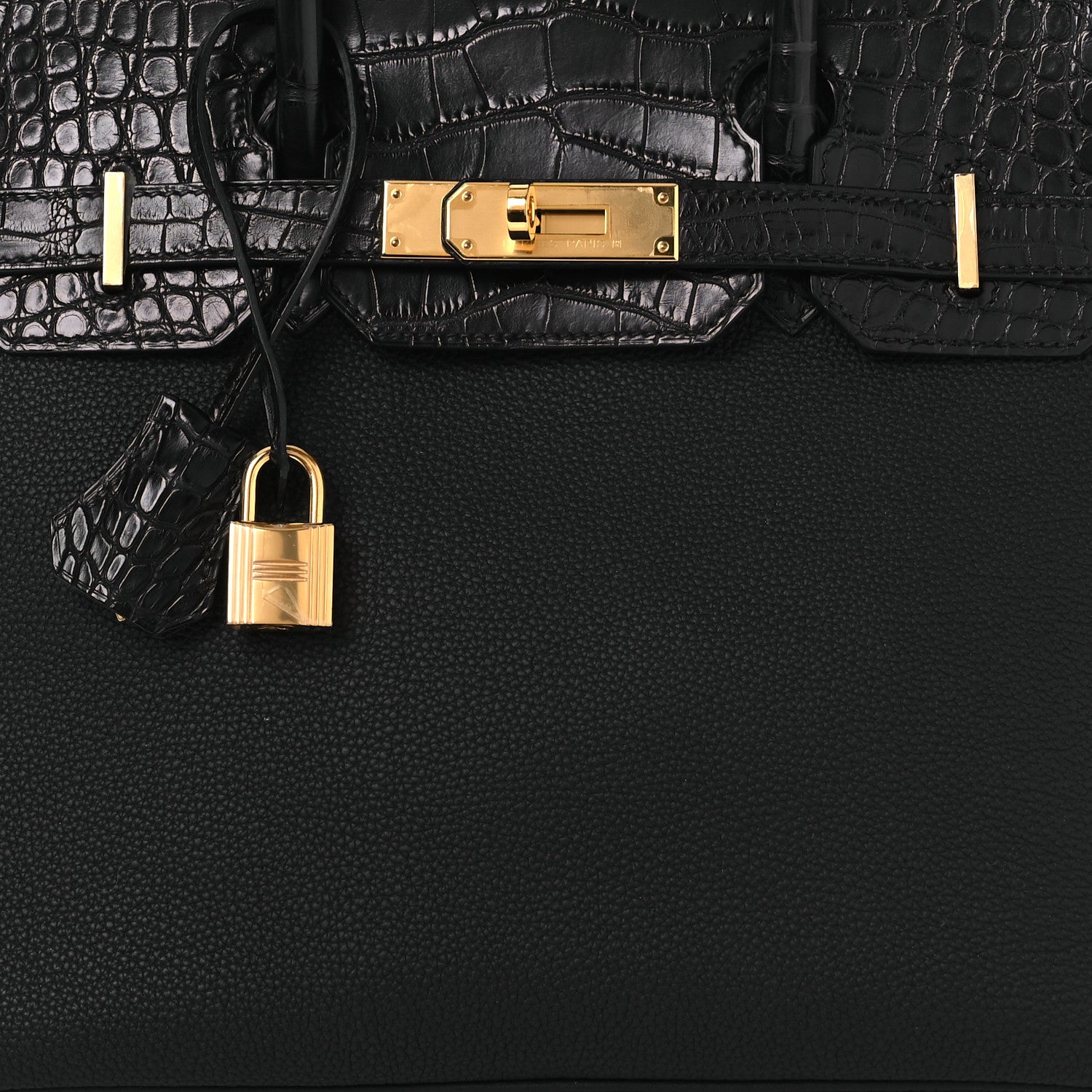 Togo Matte Alligator Birkin Touch 30 Black