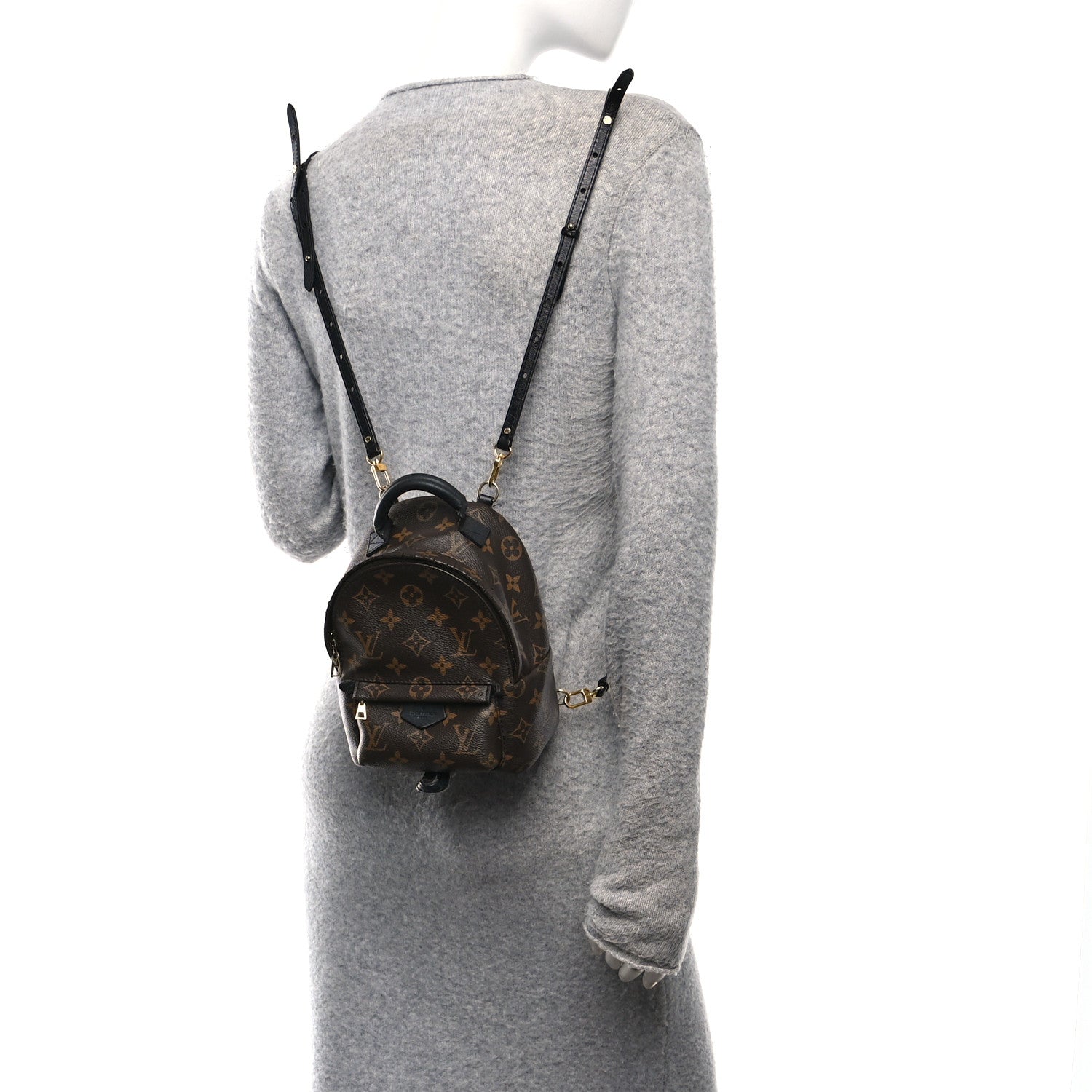 Monogram Palm Springs Backpack Mini