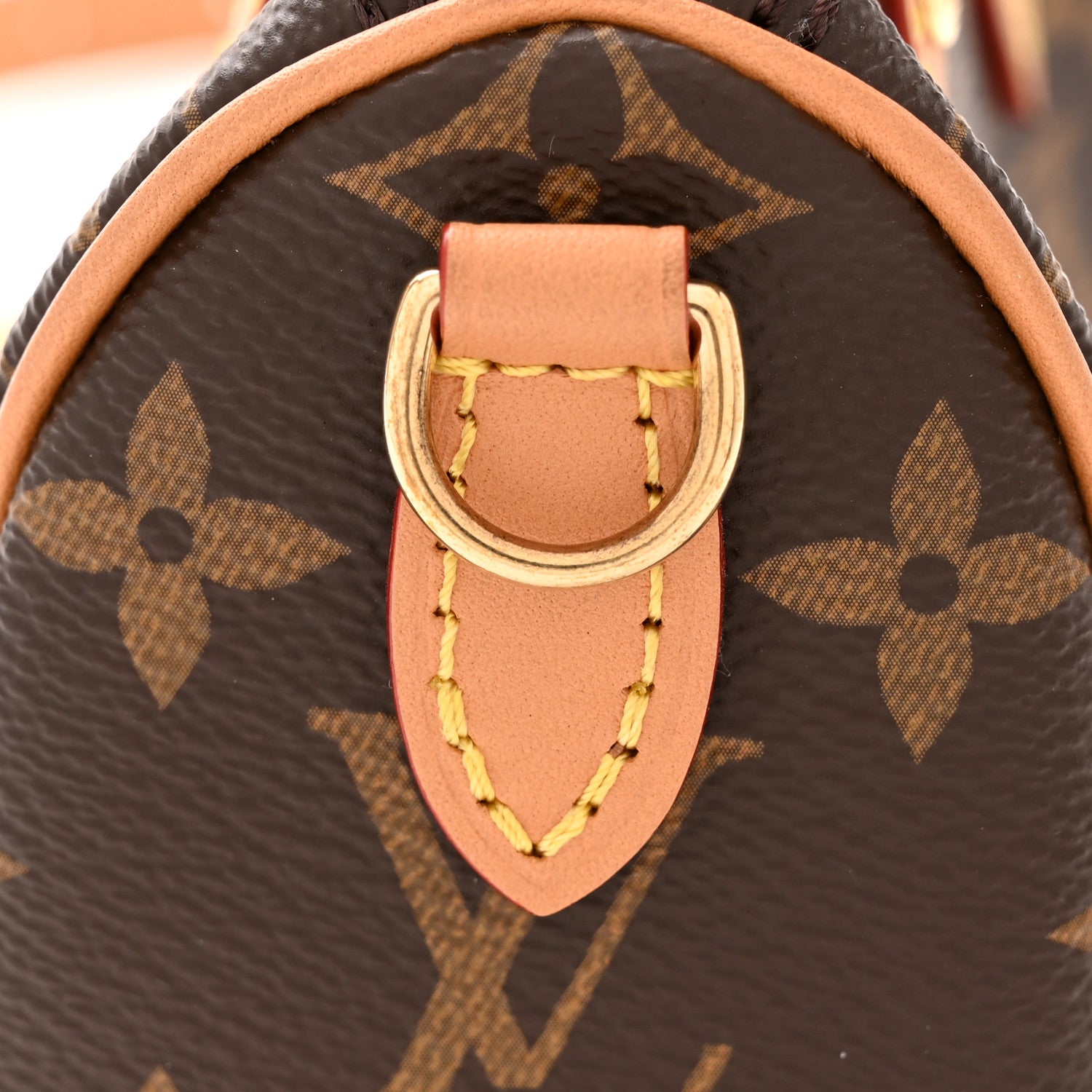 Monogram Nano Speedy Bandouliere