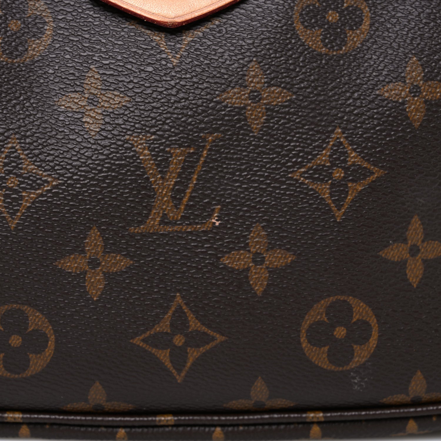 Monogram Multi Pochette Accessories Large Pochette