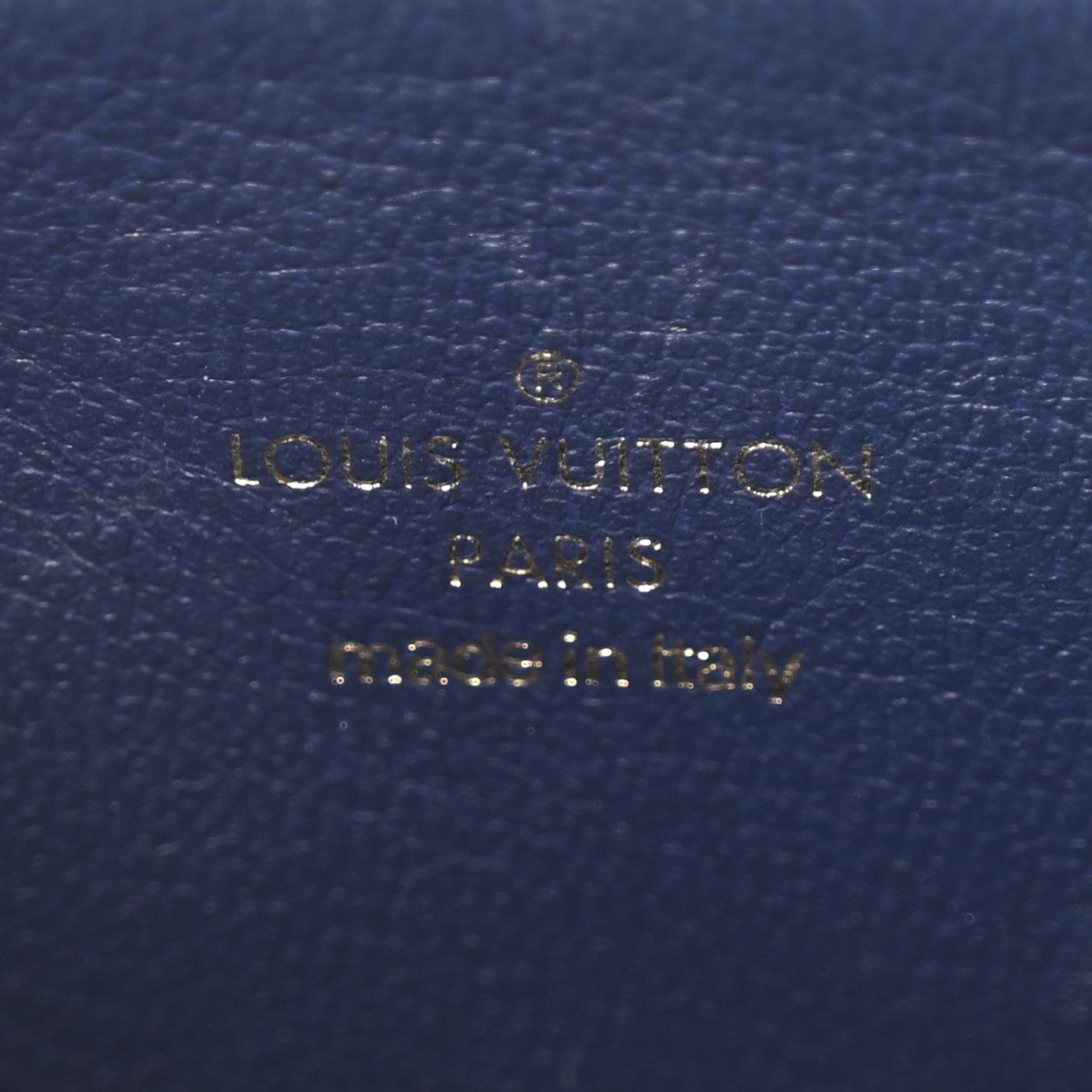 Lambskin Embossed Monogram Coussin PM Camel