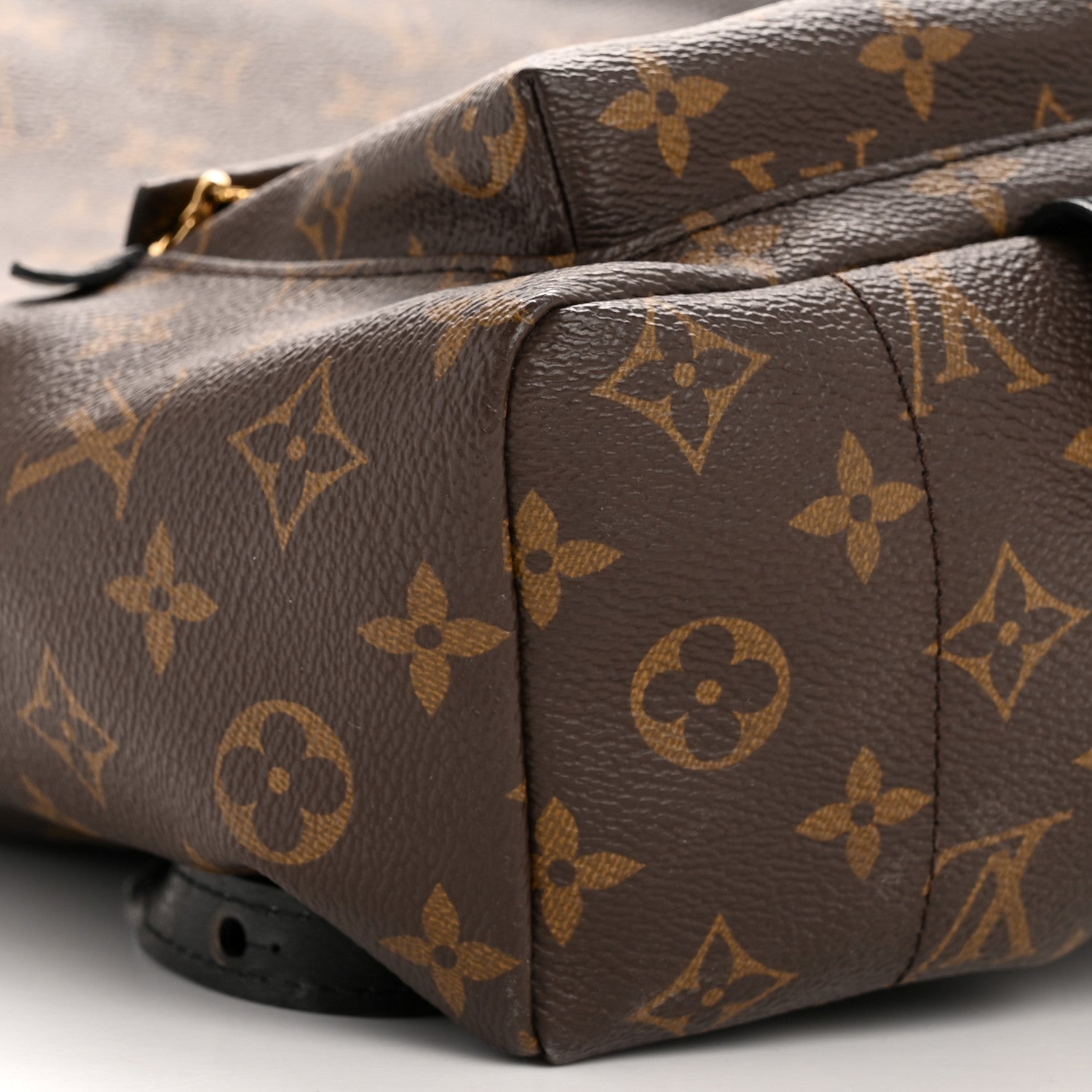 Monogram Palm Springs Backpack PM