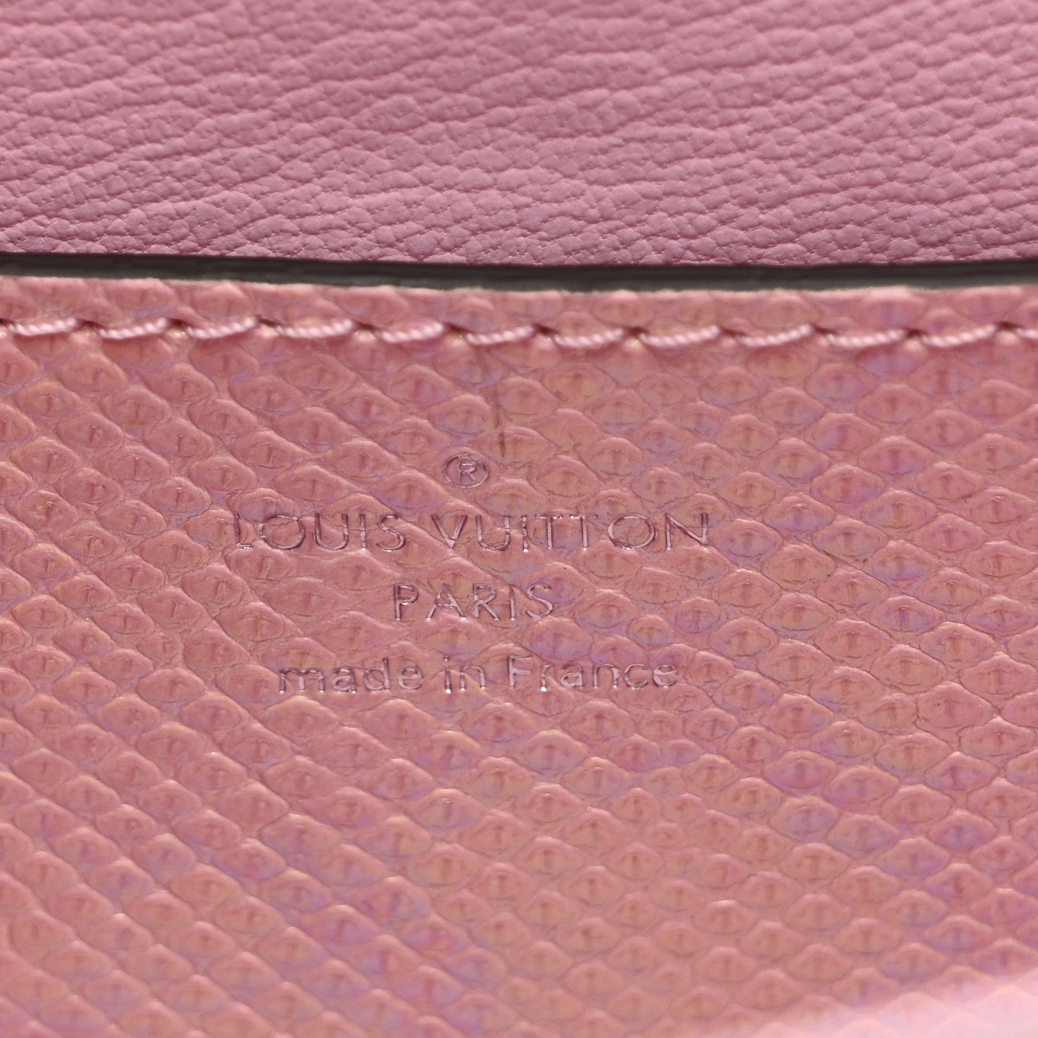 Iridescent Lizard Rose Des Vents Mini Pink