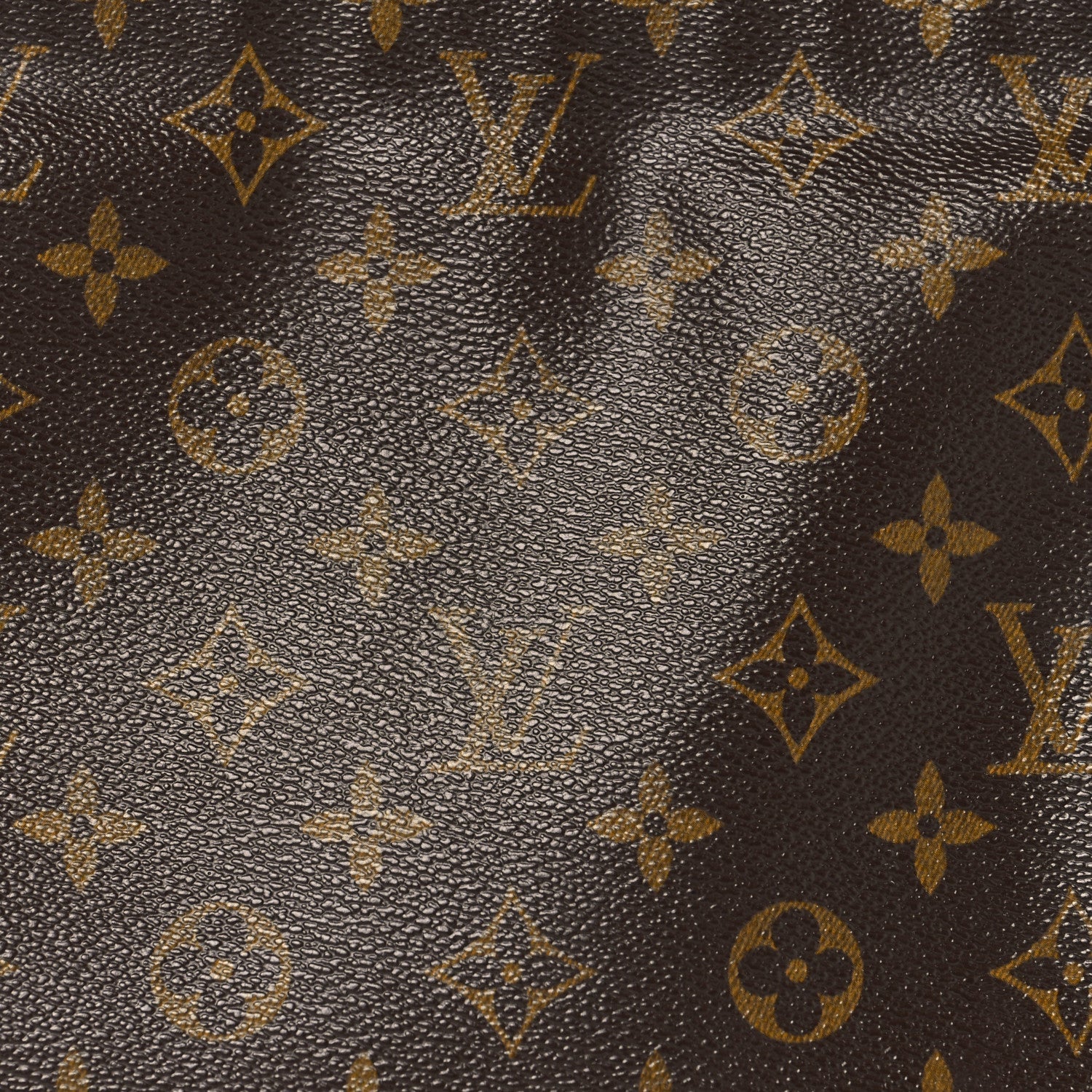 Monogram Looping MM