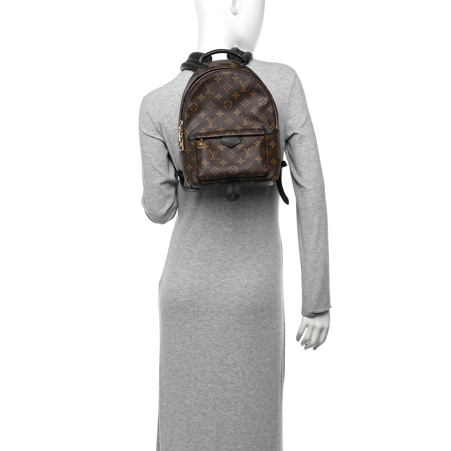 Monogram Palm Springs Backpack PM