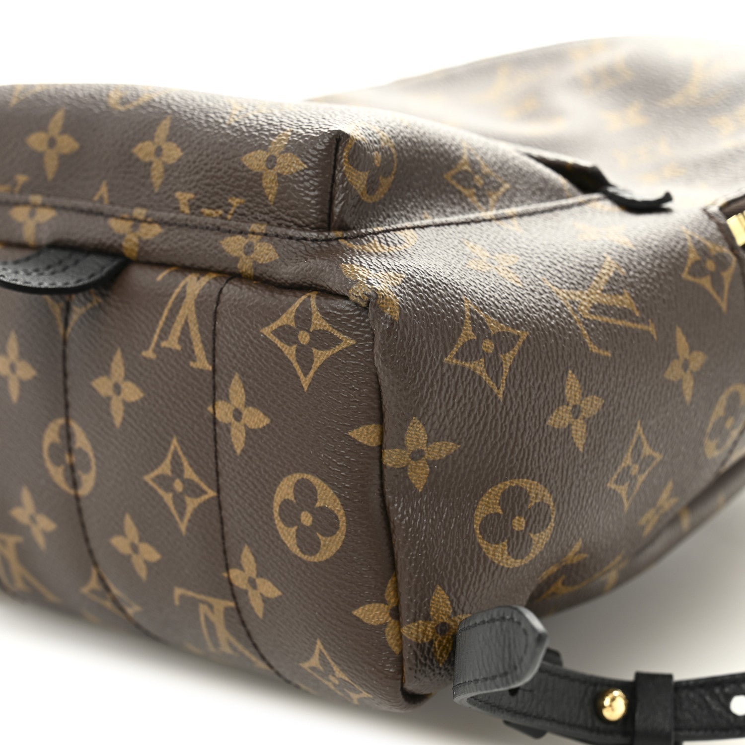 Monogram Palm Springs Backpack PM