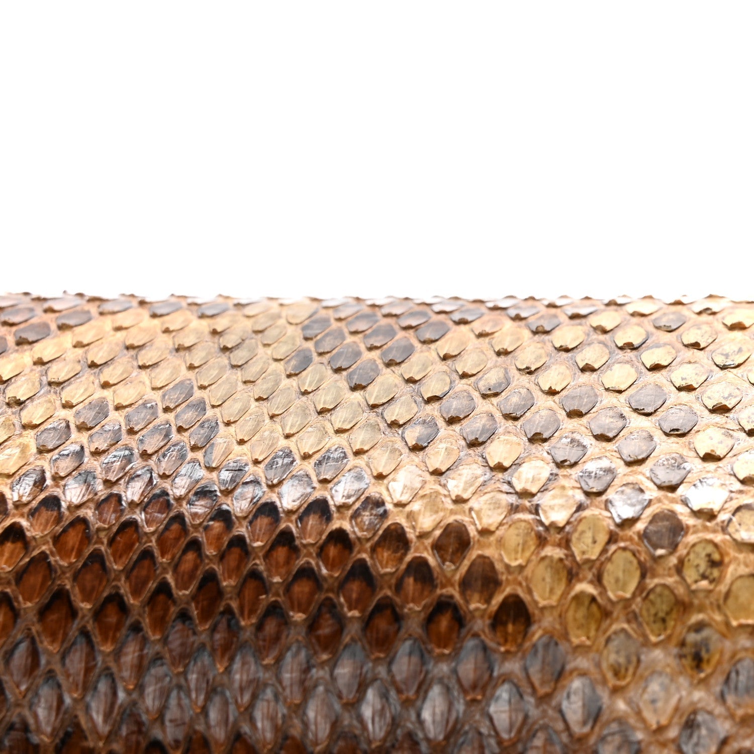 Snakeskin Medium New Bamboo Top Handle Bag Natural