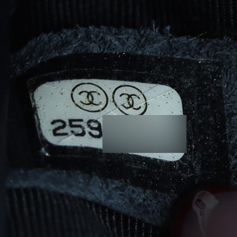 Chanel Diagonal Chevron Camera Bag