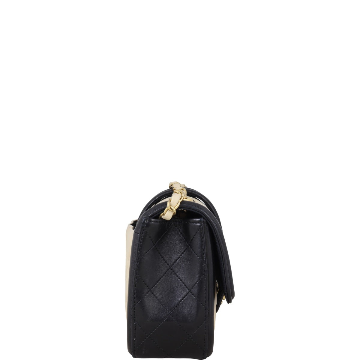 Chanel Elegant CC Flap Bag Medium