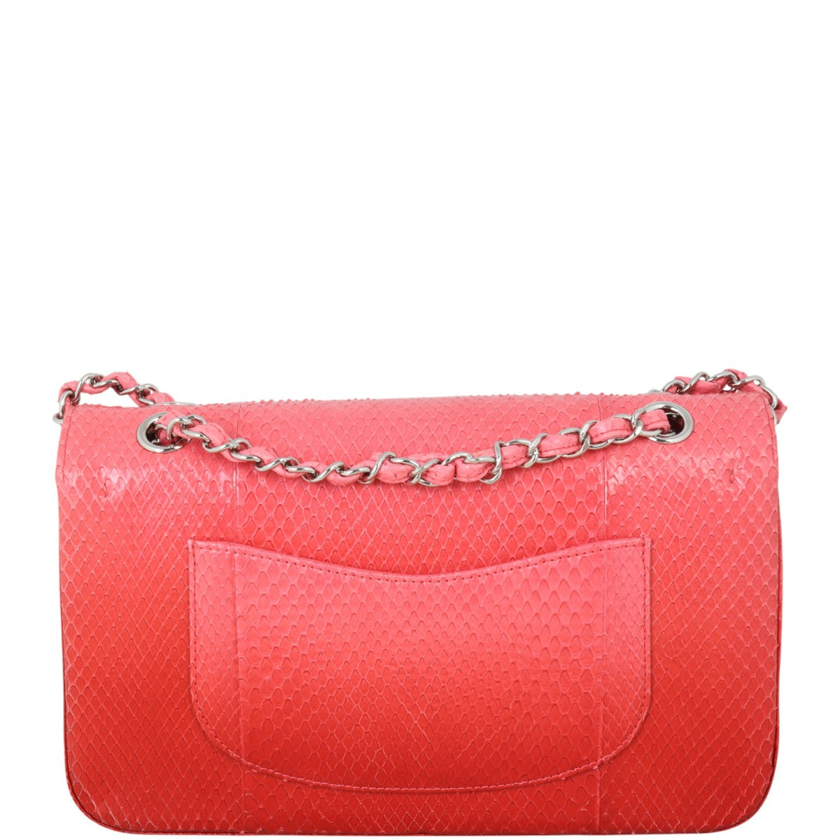 Chanel Classic Double Flap Medium Python Ombre