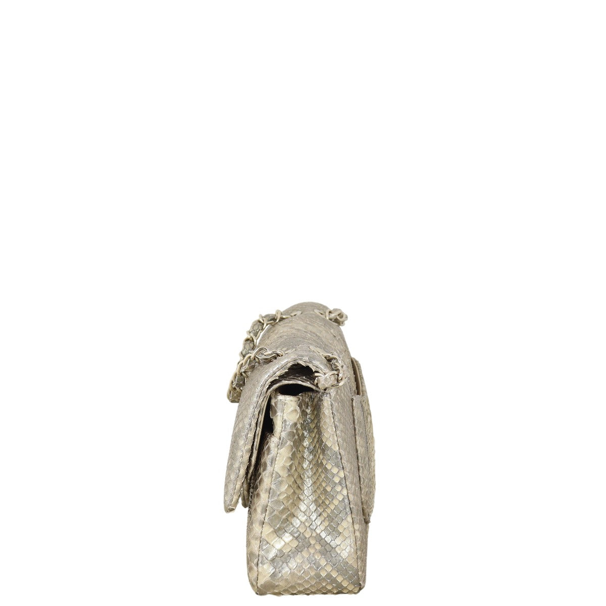 Chanel Classic Double Flap Medium Iridescent Python