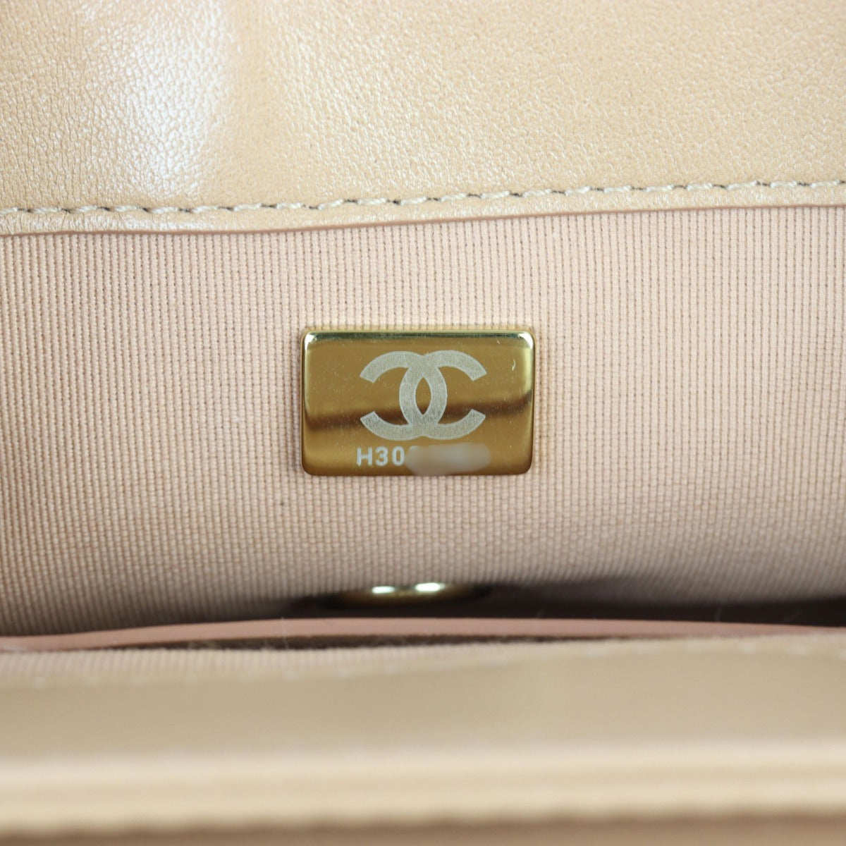 Chanel Hold The Line Flap Bag