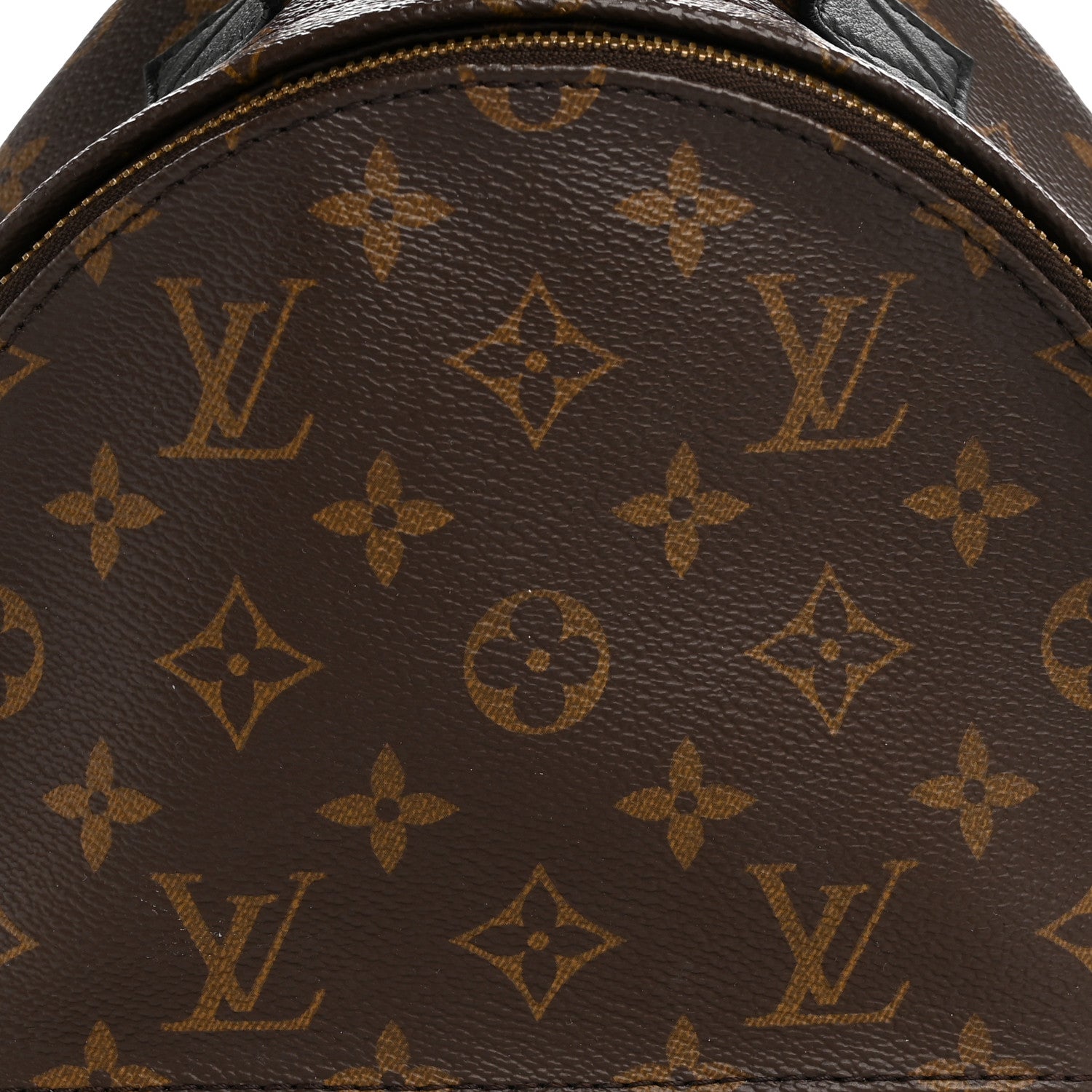 Monogram Palm Springs Backpack PM