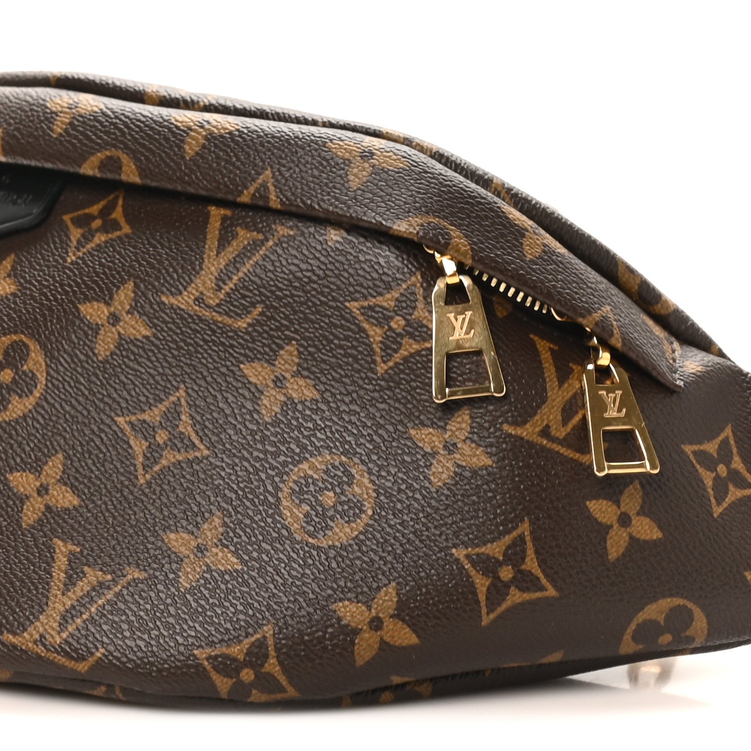 Monogram My LV World Tour Bumbag