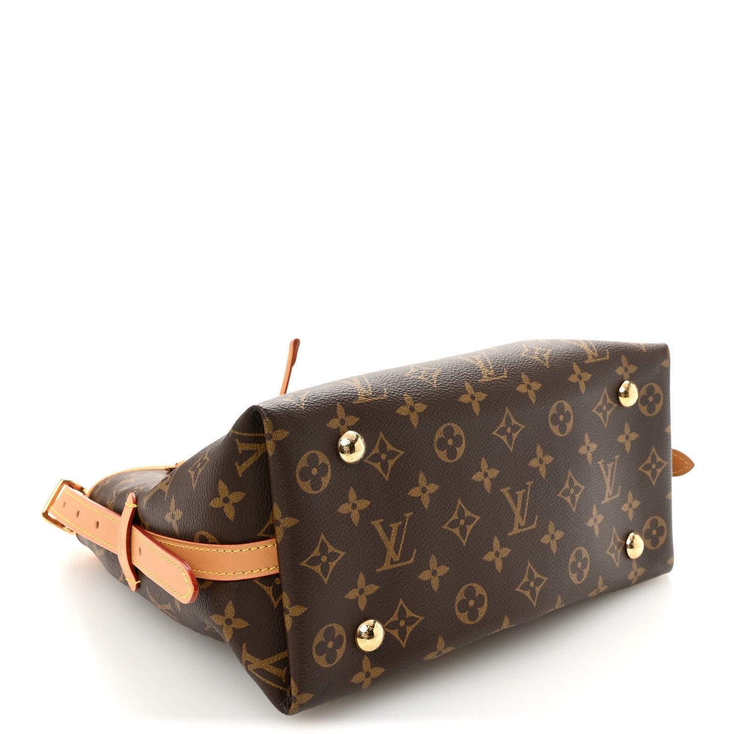 Monogram Carryall PM