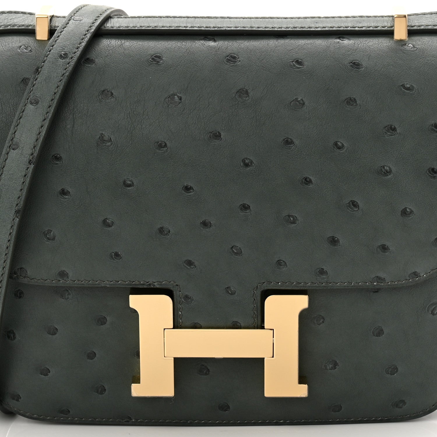 Ostrich Constance 18 Vert Amande