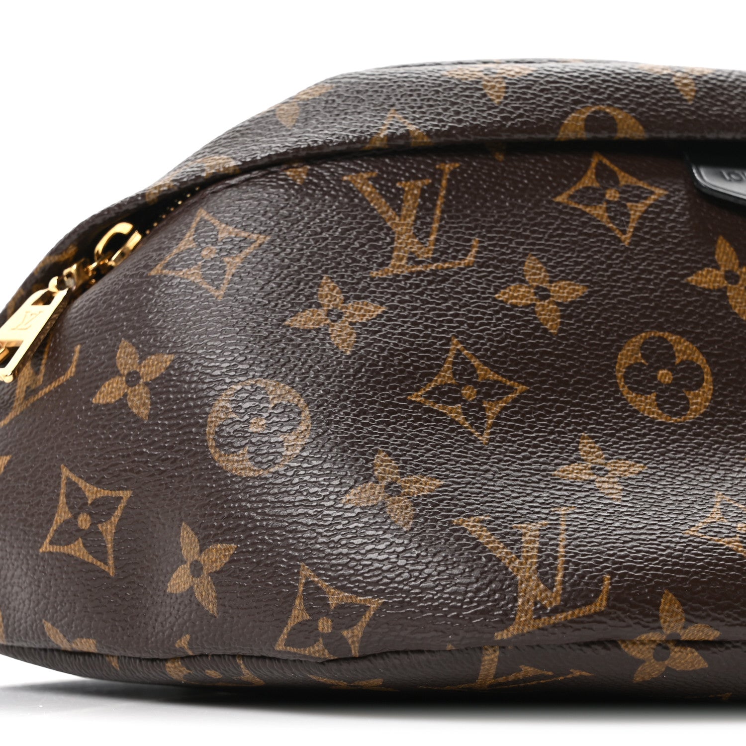 Monogram My LV World Tour Bumbag