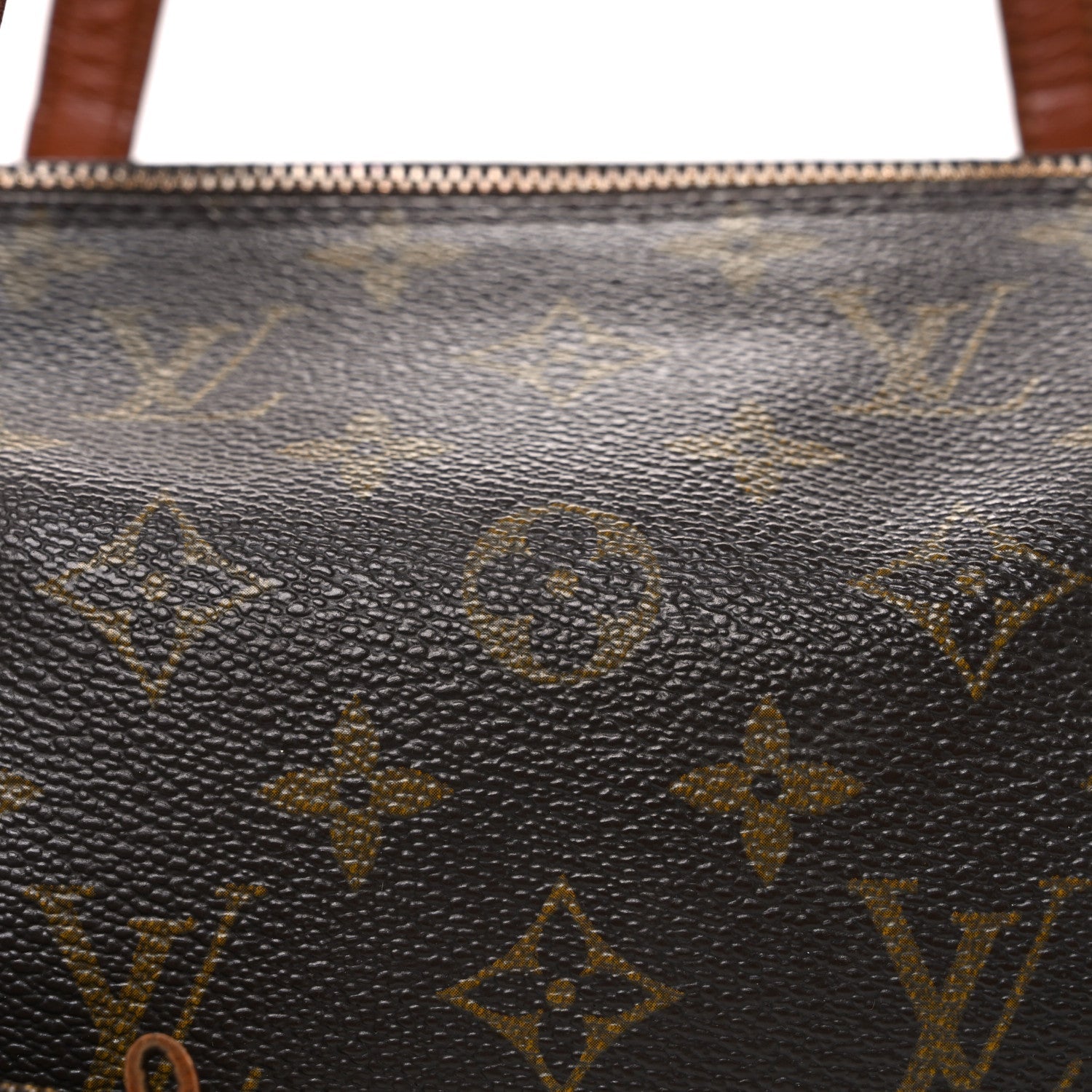 Monogram Papillon 30 with Companion