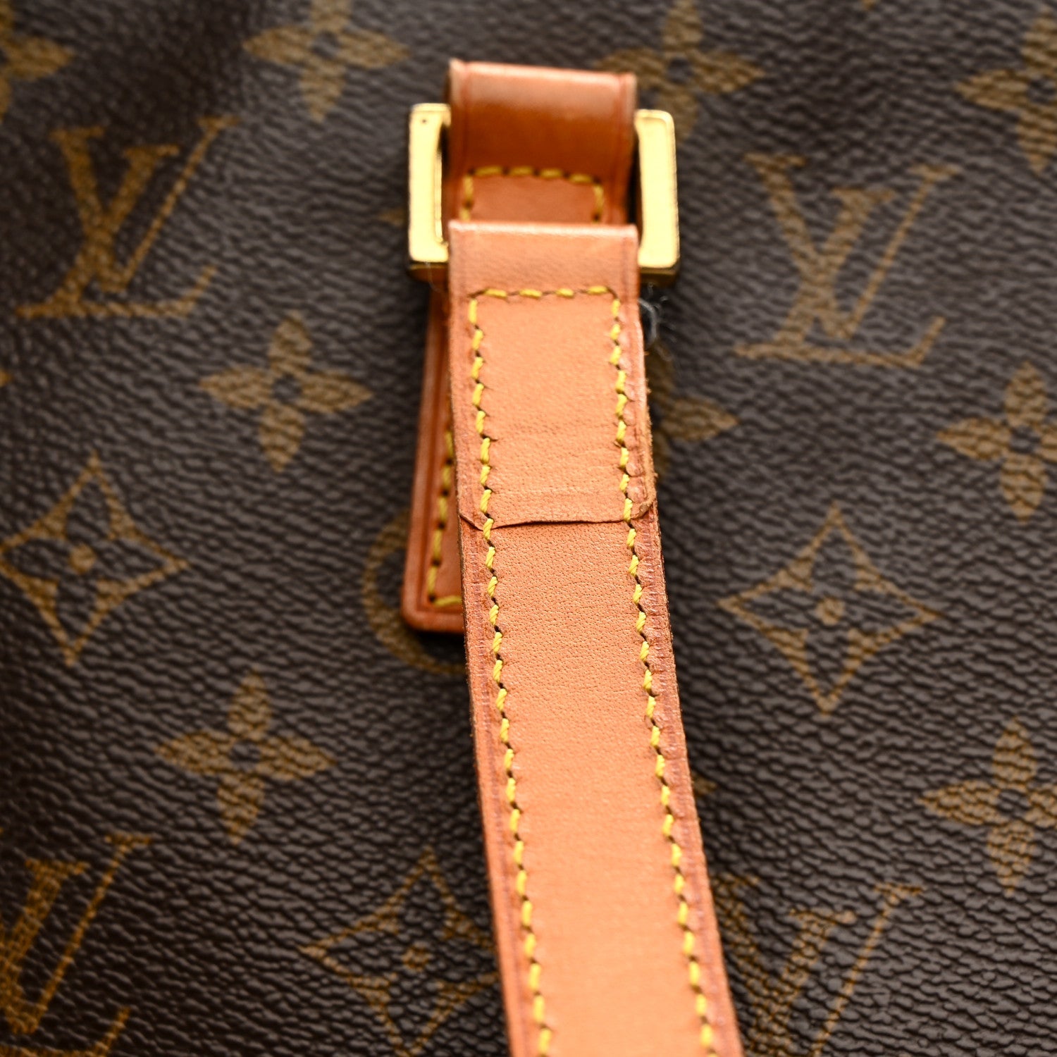 Monogram Cabas Mezzo