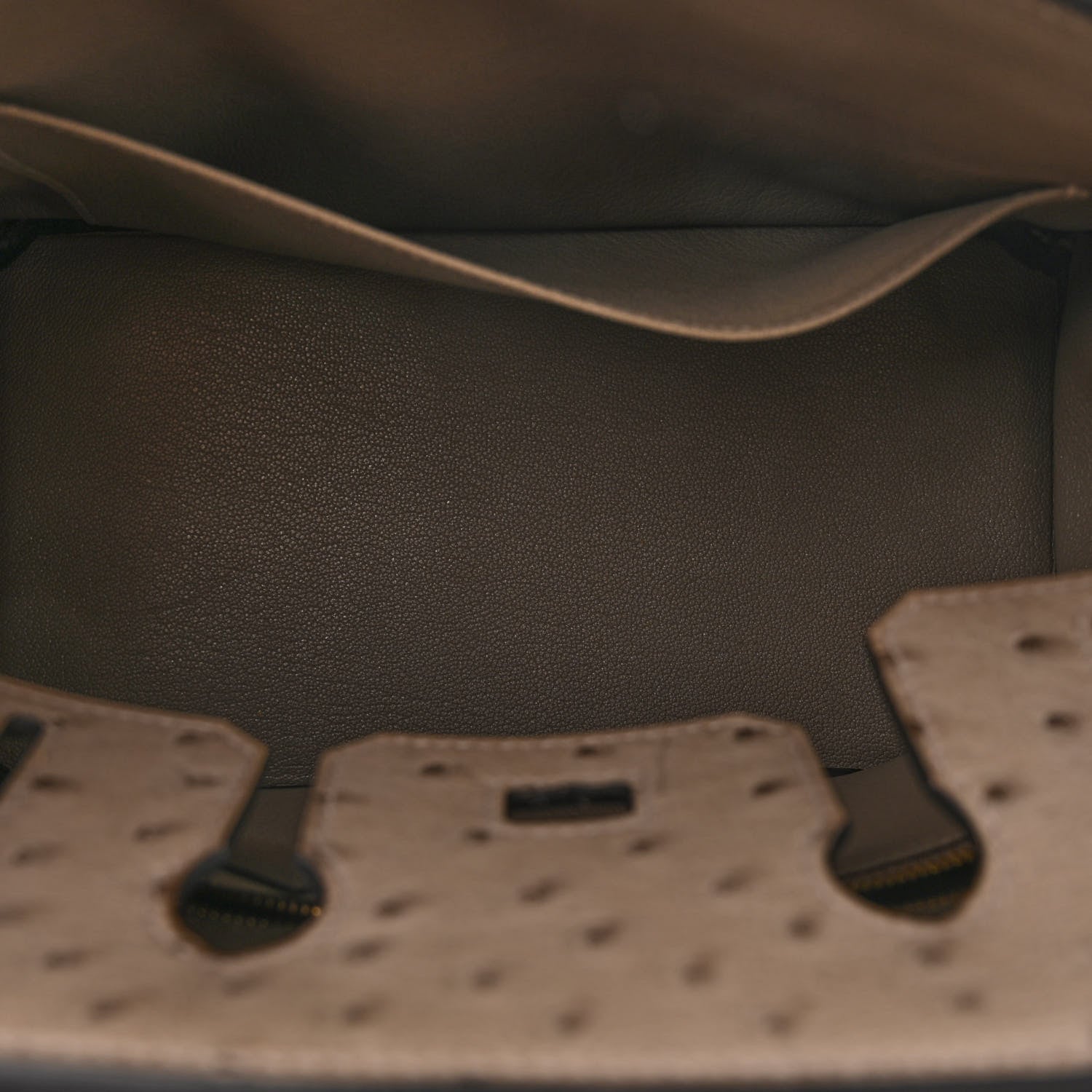 Ostrich Birkin 25 Gris Tourterelle