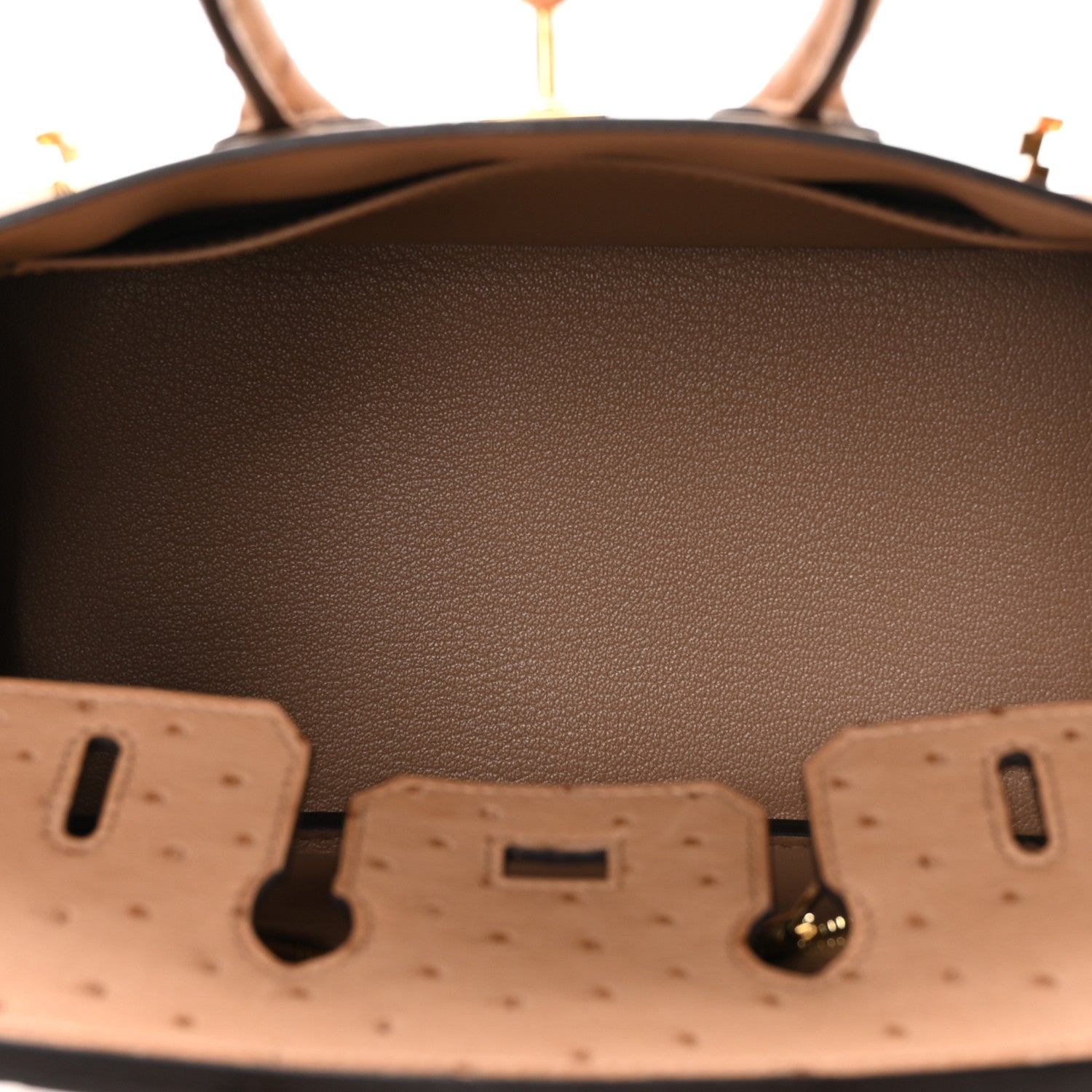 Ostrich Birkin 25 Chai