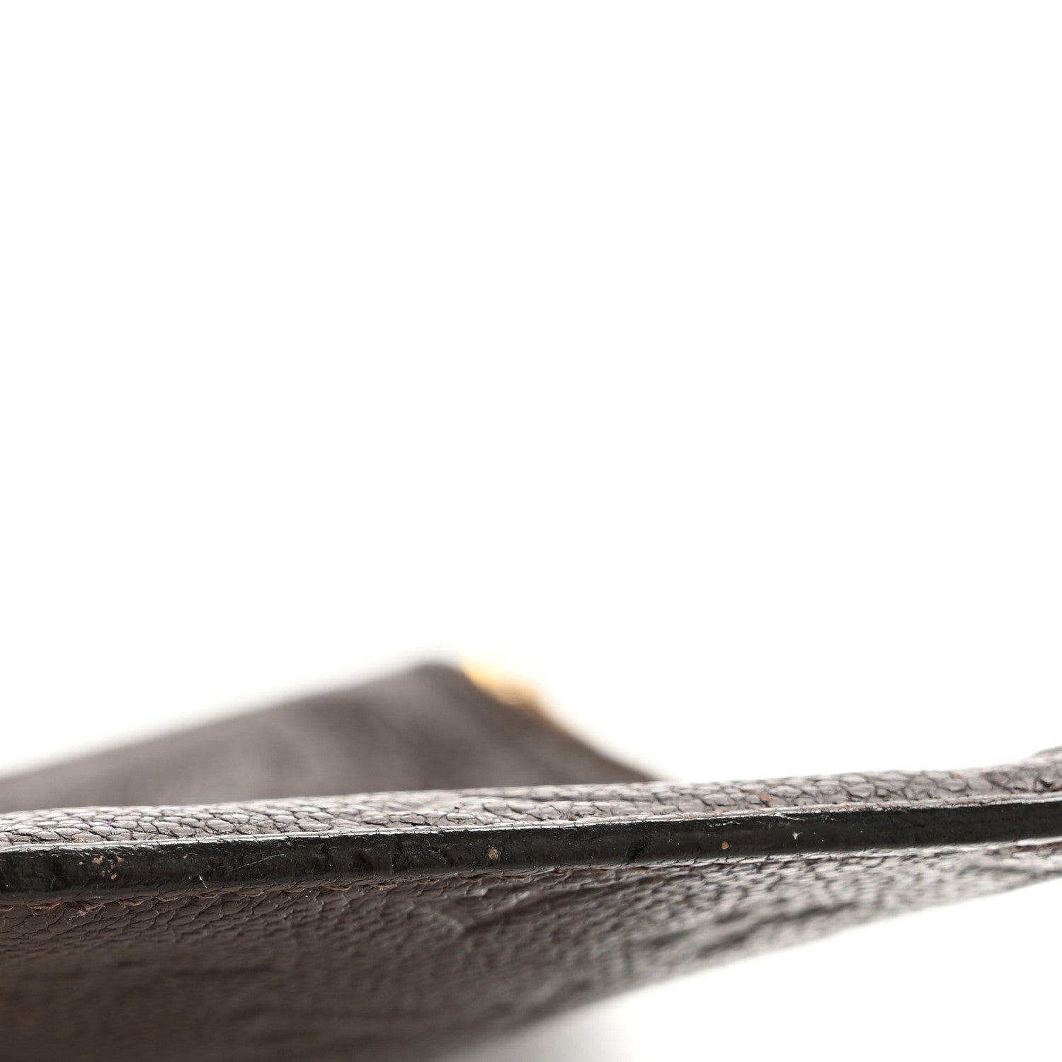 Empreinte Felicie Chain Wallet Zippered Insert Earth