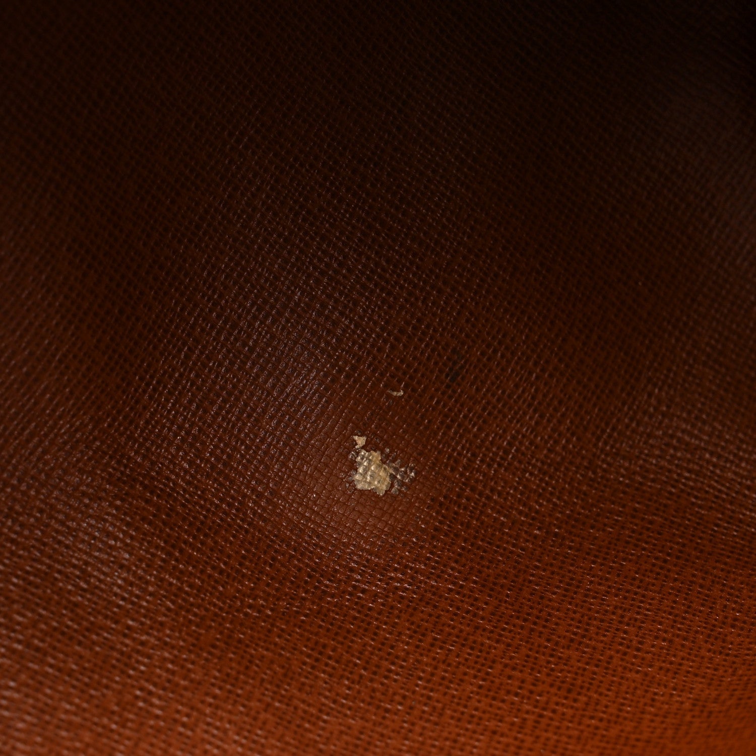 Monogram Papillon 30 with Companion