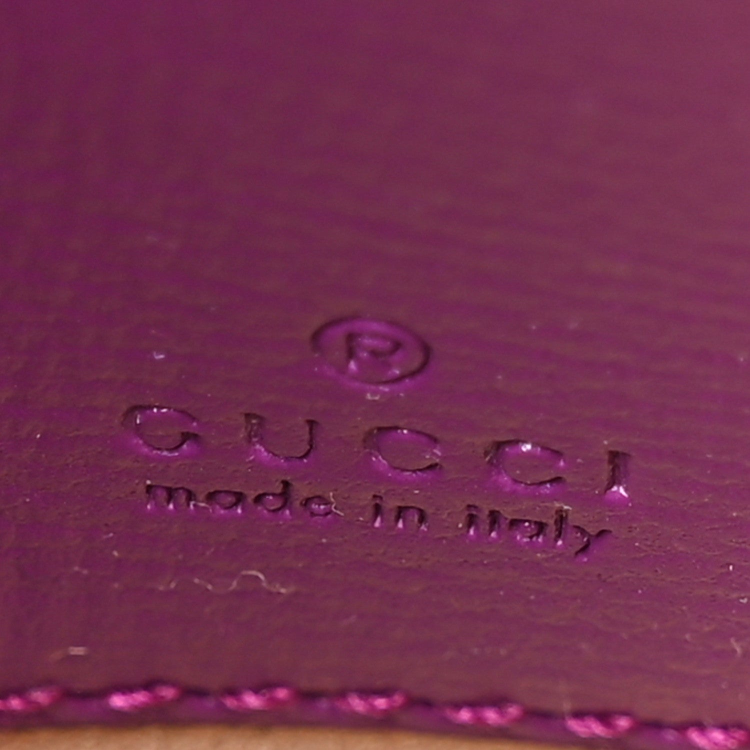 Azalea Calfskin Web Monochrome Horsebit 1955 Wallet On Strap Purple