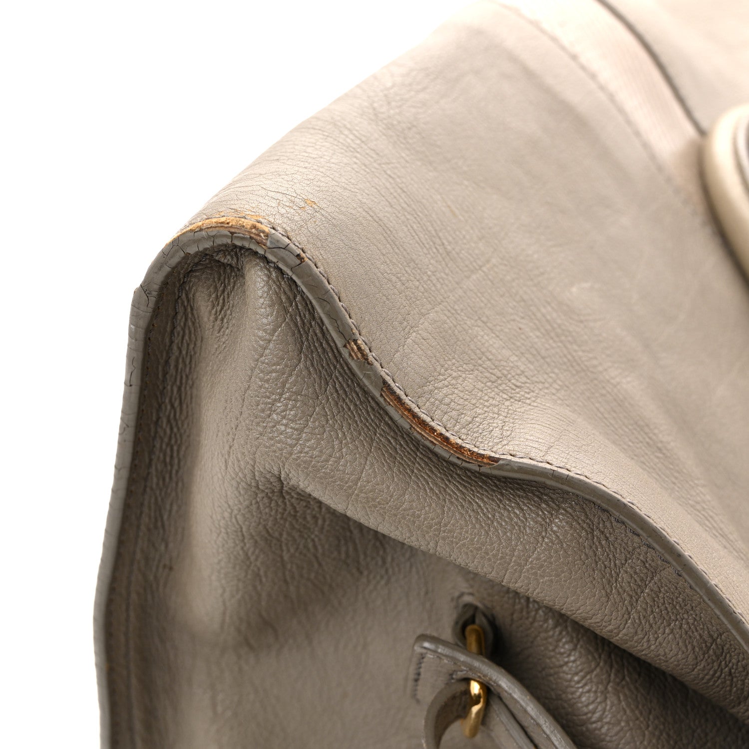Calfskin Snakeskin Medium Cabas Chyc Beige