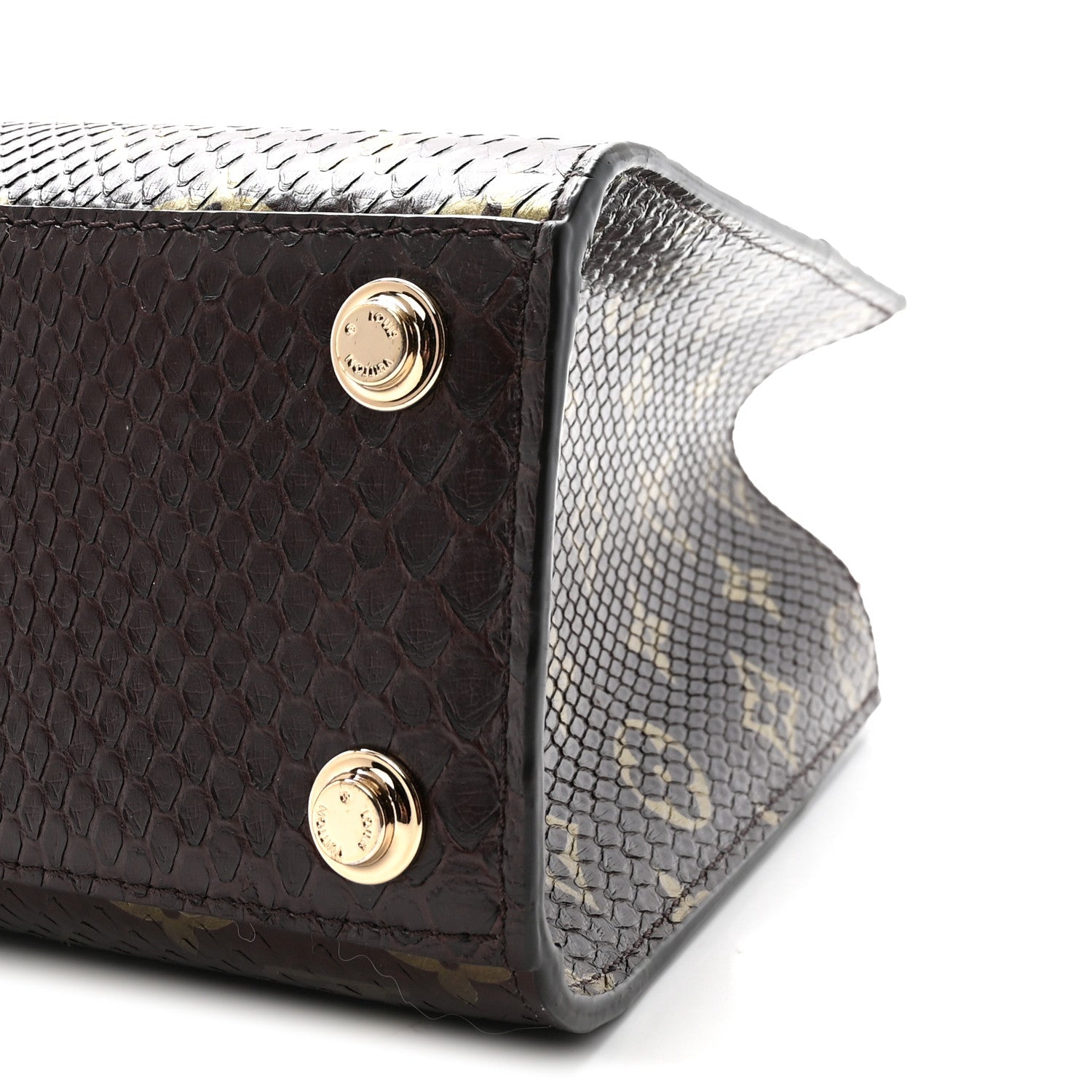Snakeskin Monogram City Steamer Mini Brown