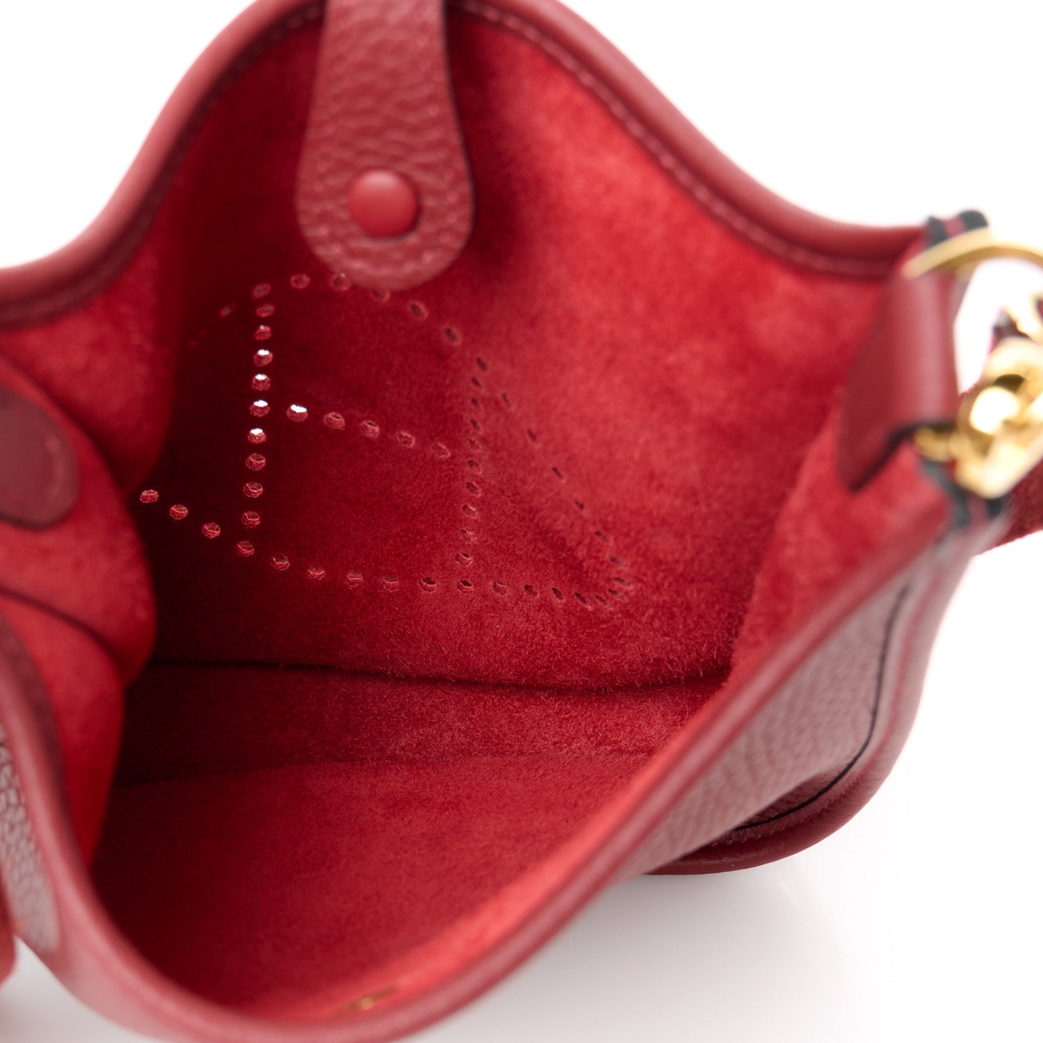 Taurillon Clemence Evelyne TPM Rouge H